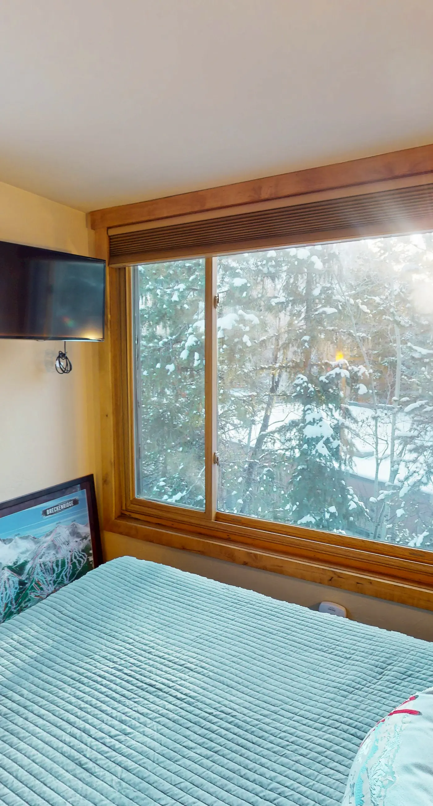 Tenmile Mountain House