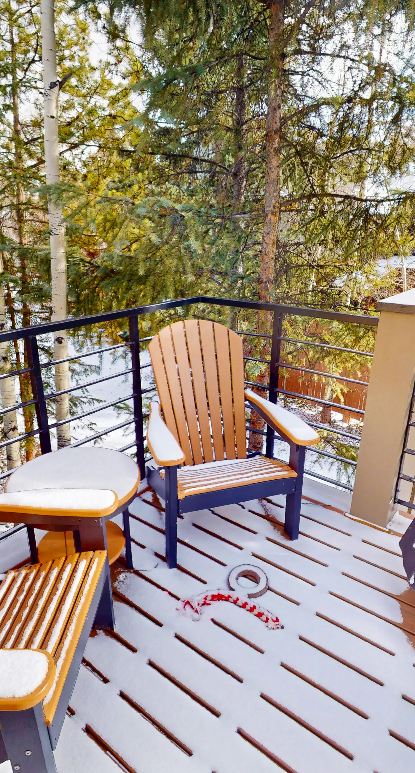 Tenmile Mountain House