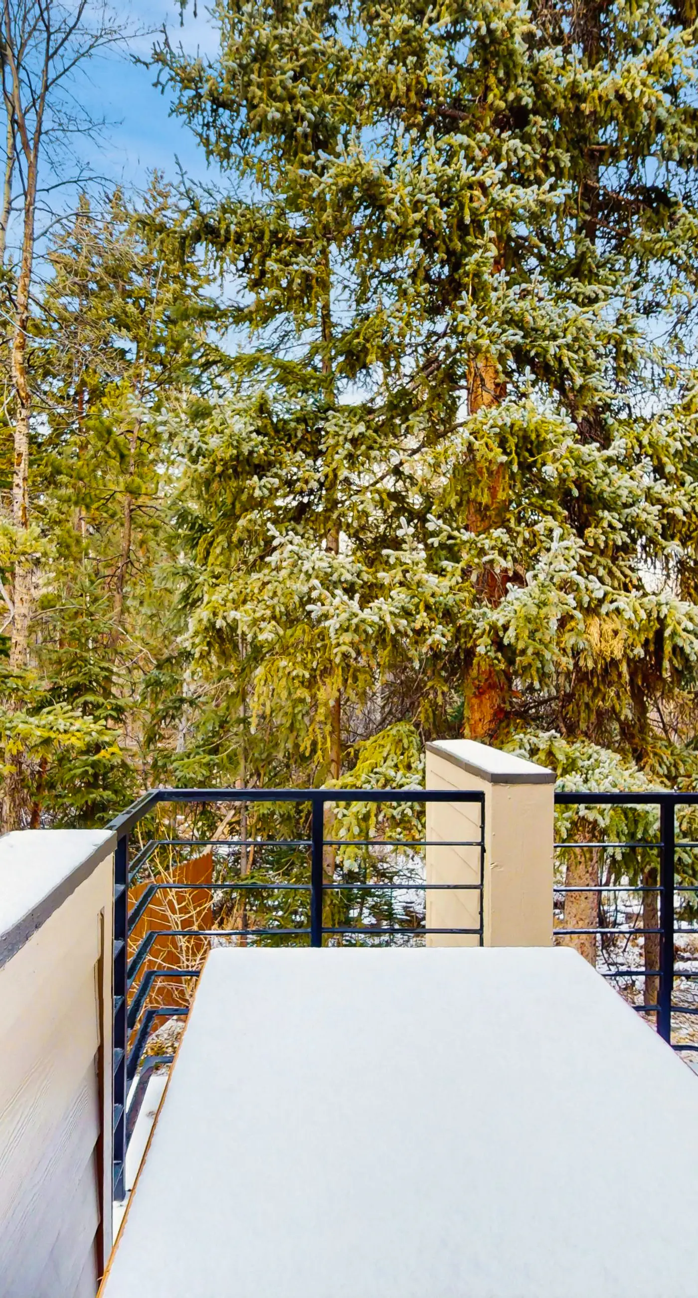 Tenmile Mountain House