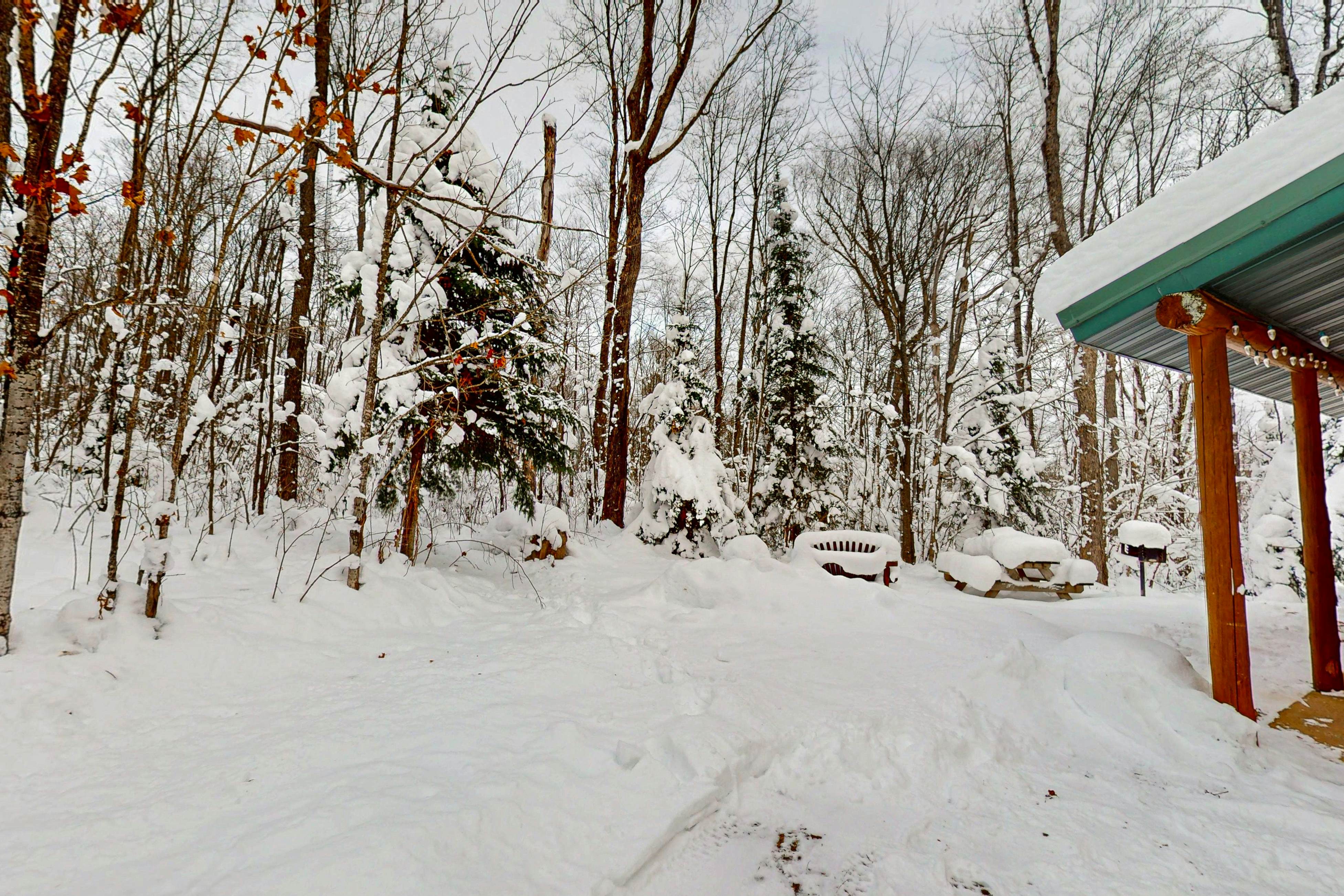 Balsam Ridge Cabin 2- Wolf