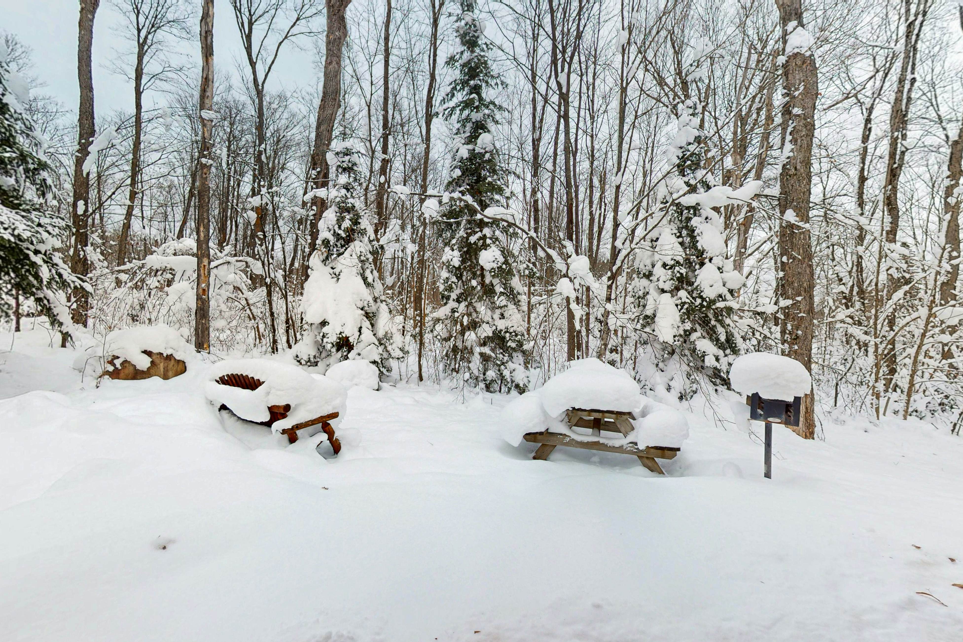 Balsam Ridge Cabin 2- Wolf