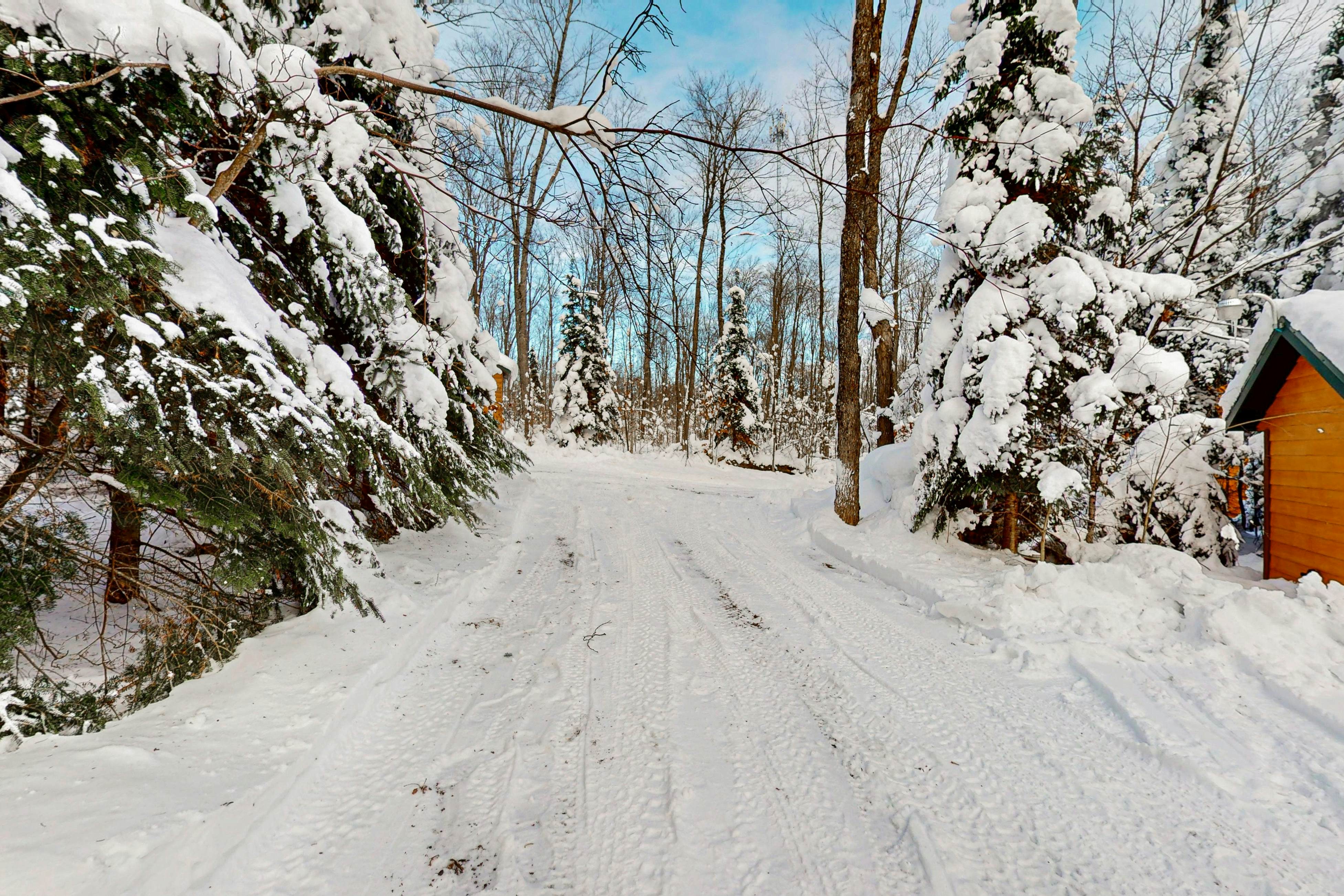 Balsam Ridge Cabin 1- Bear