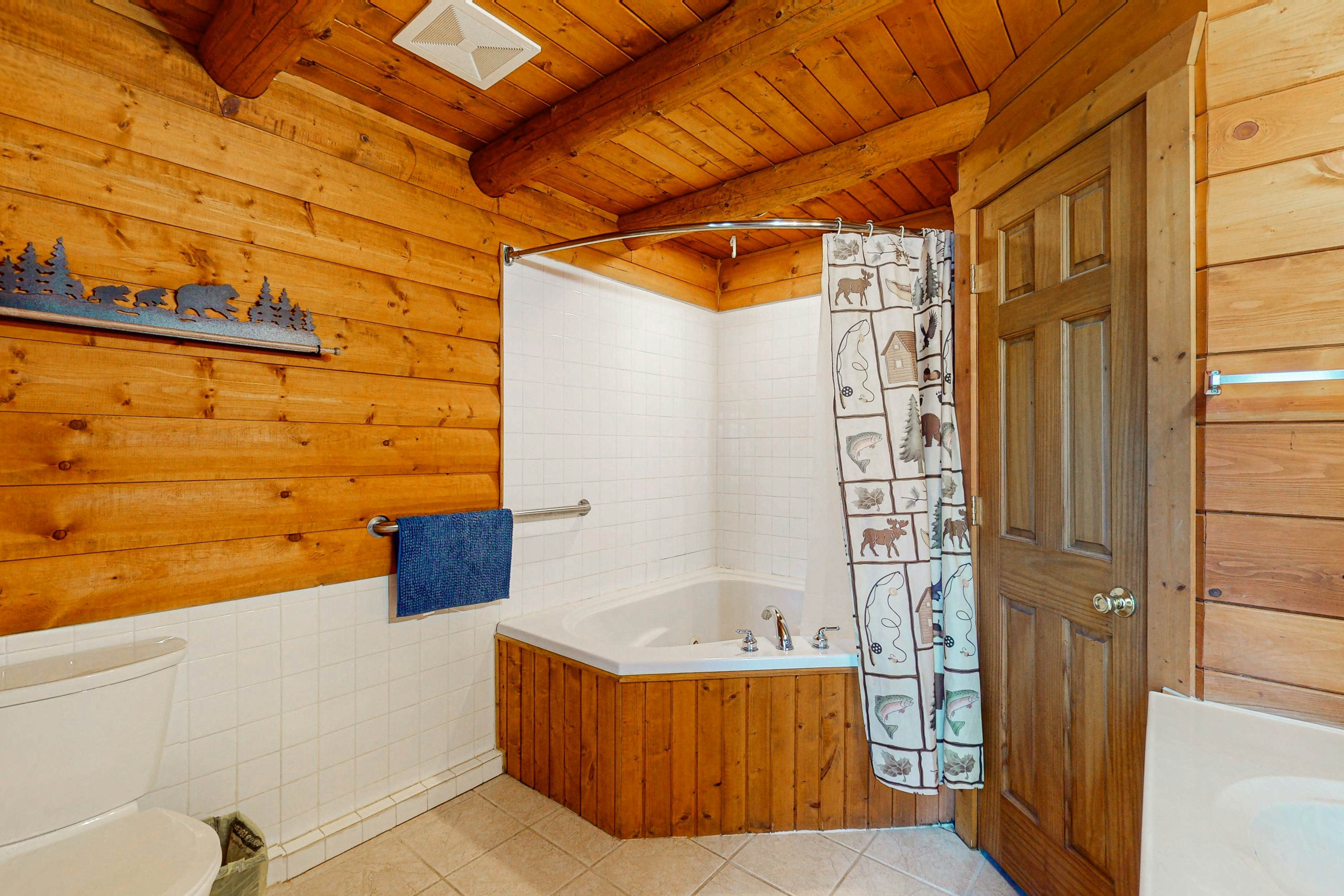 Balsam Ridge Cabin 1- Bear