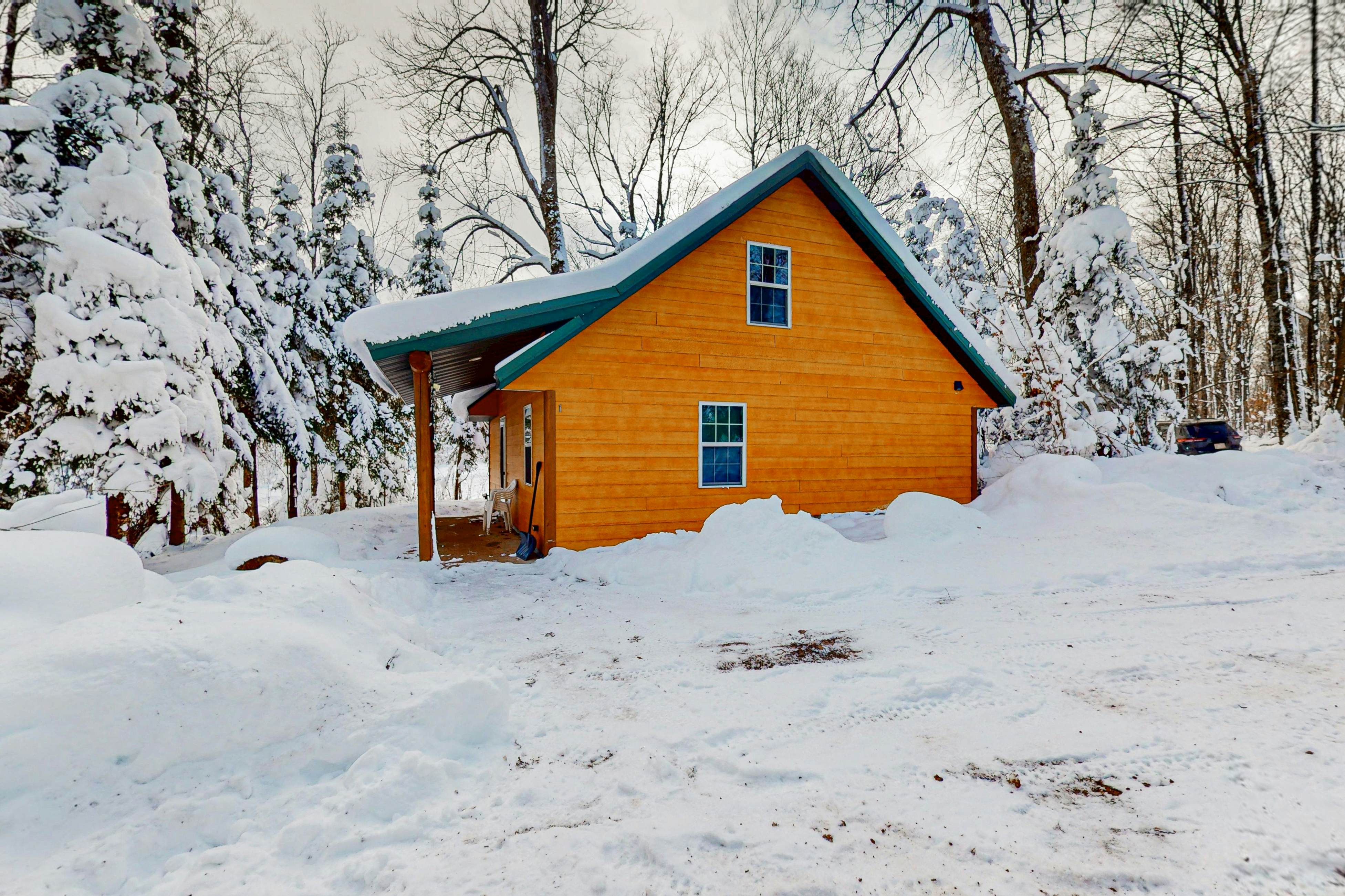 Balsam Ridge Cabin 1- Bear