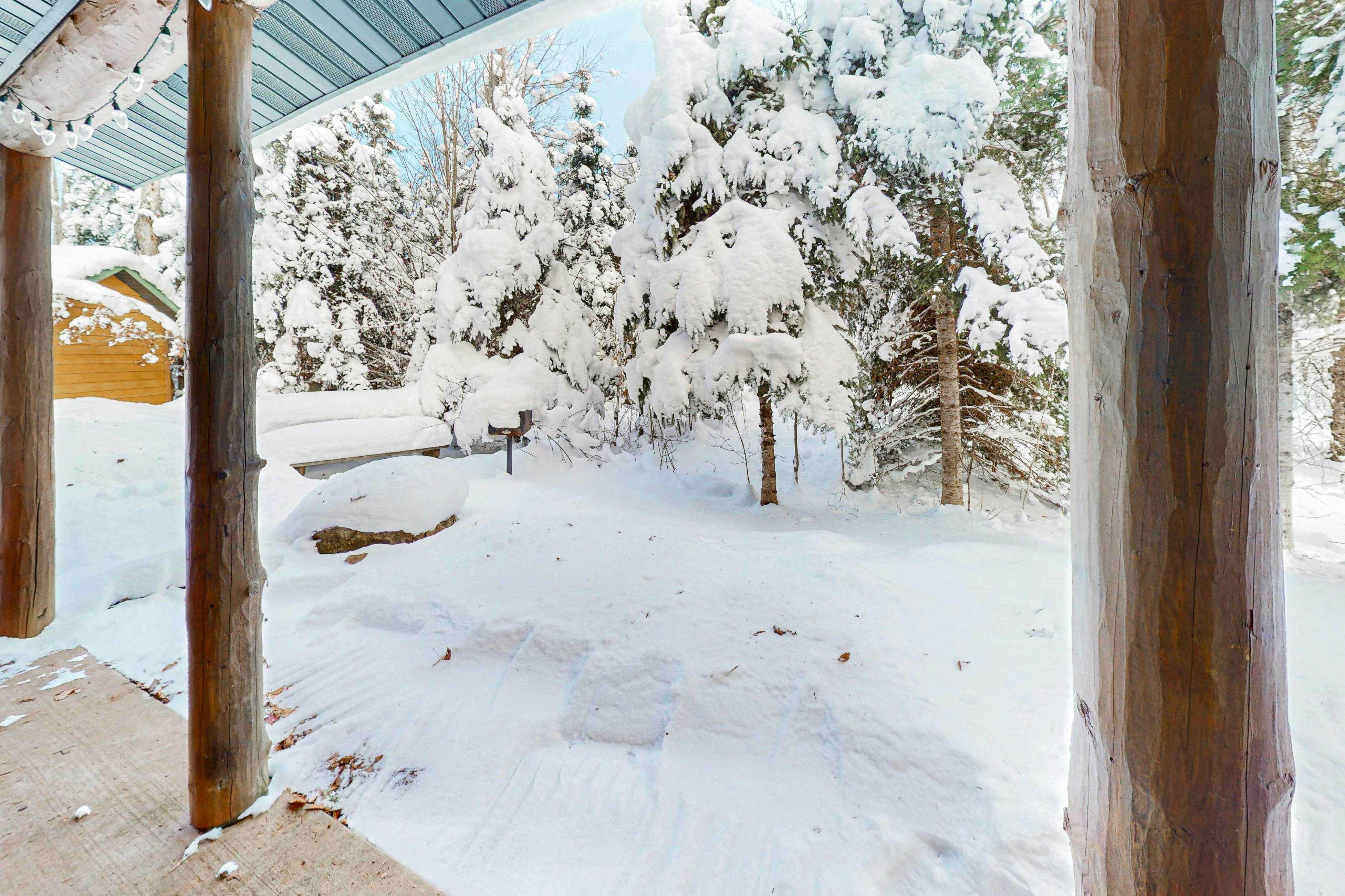 Balsam Ridge Cabin 1- Bear