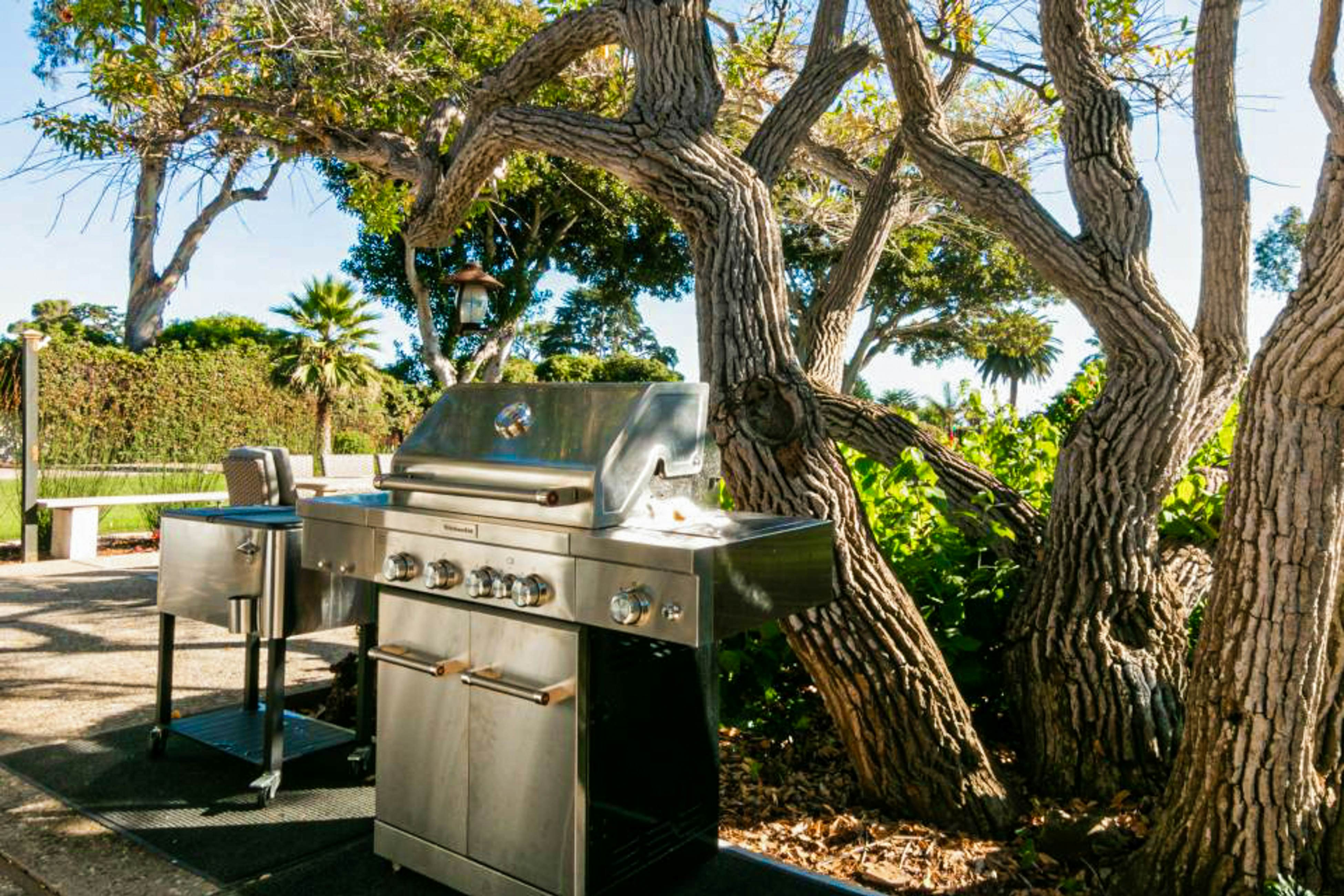 Fernald Point Adventure