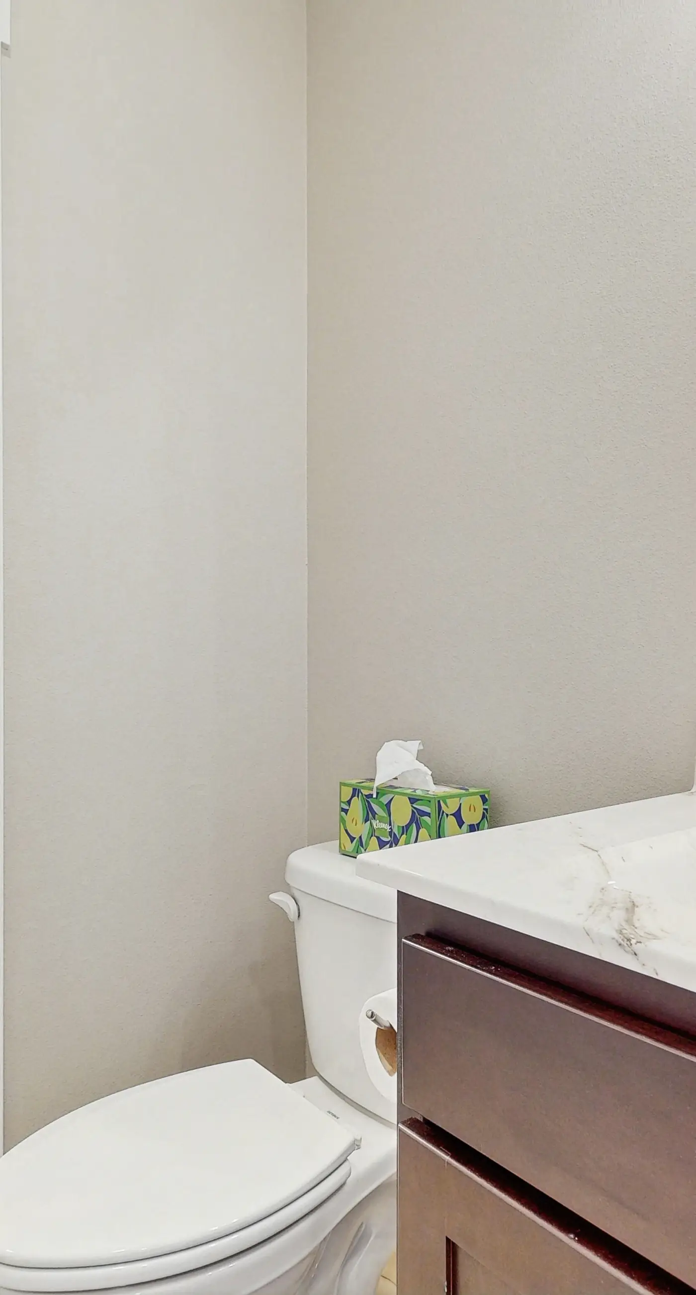 Lakeside Serenity at Kimberling Crossing