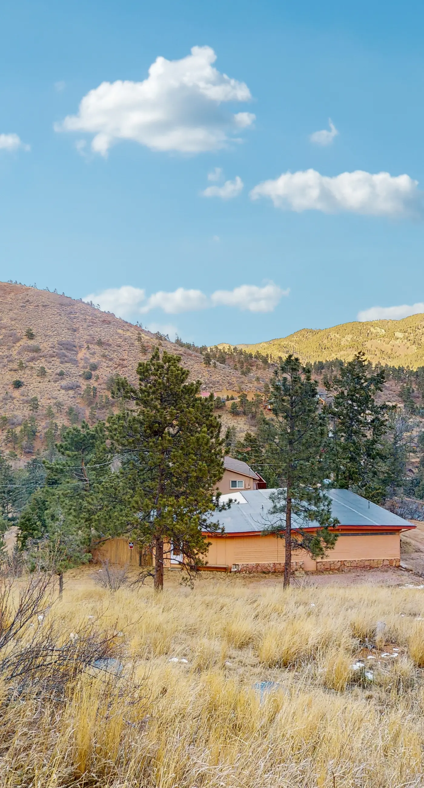 The Trail Head