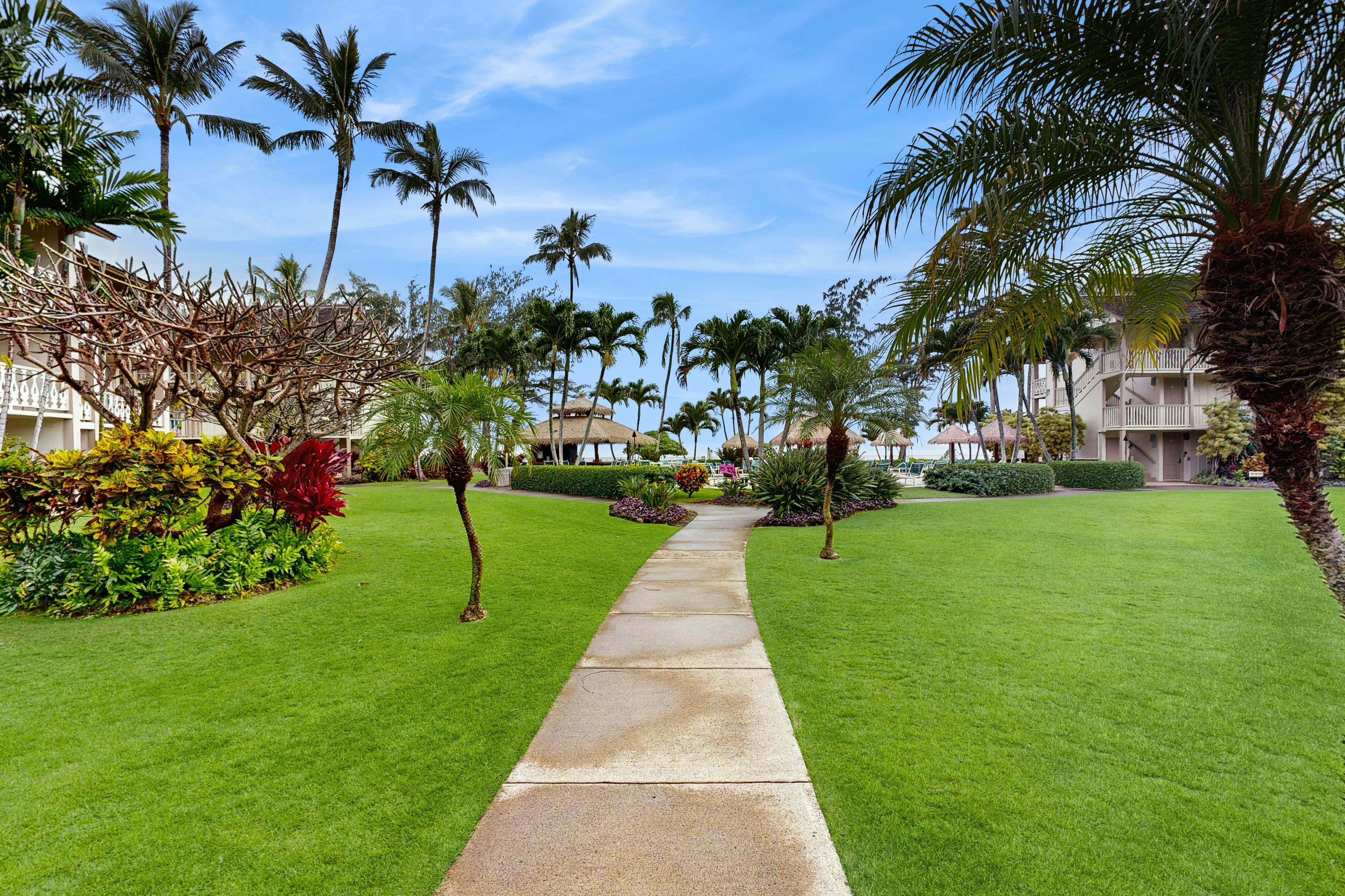 Islander on the Beach 204