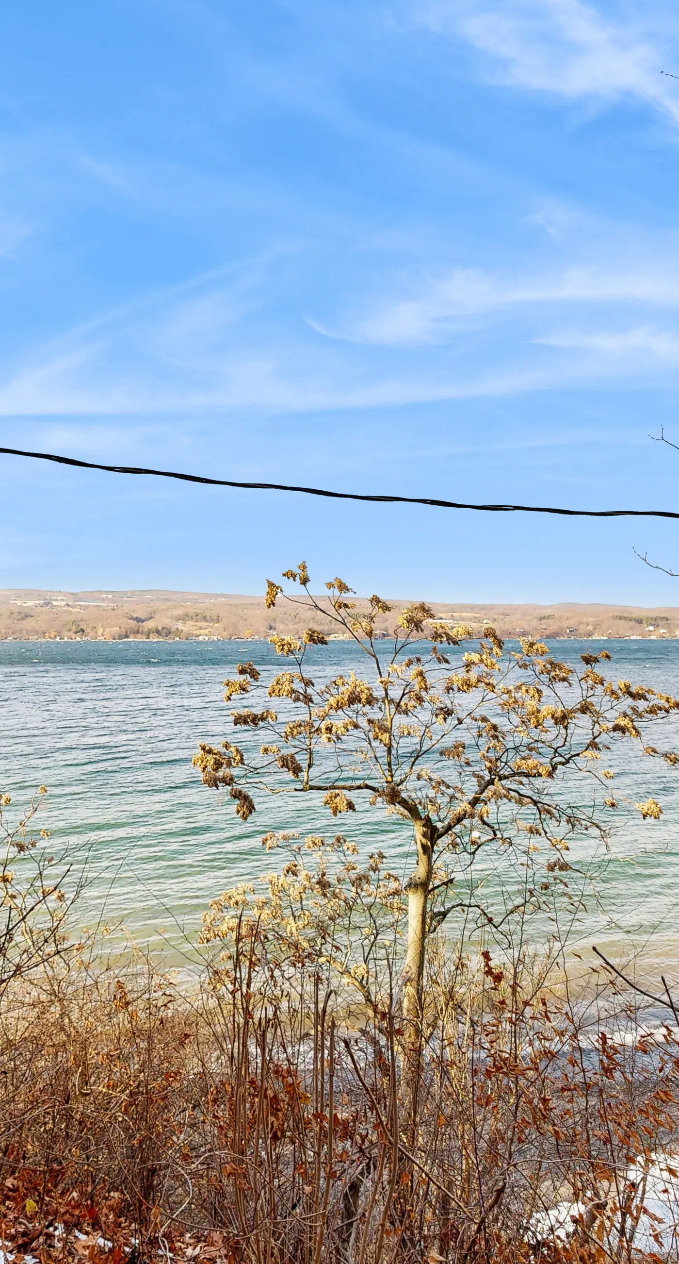 Live Laugh Lake