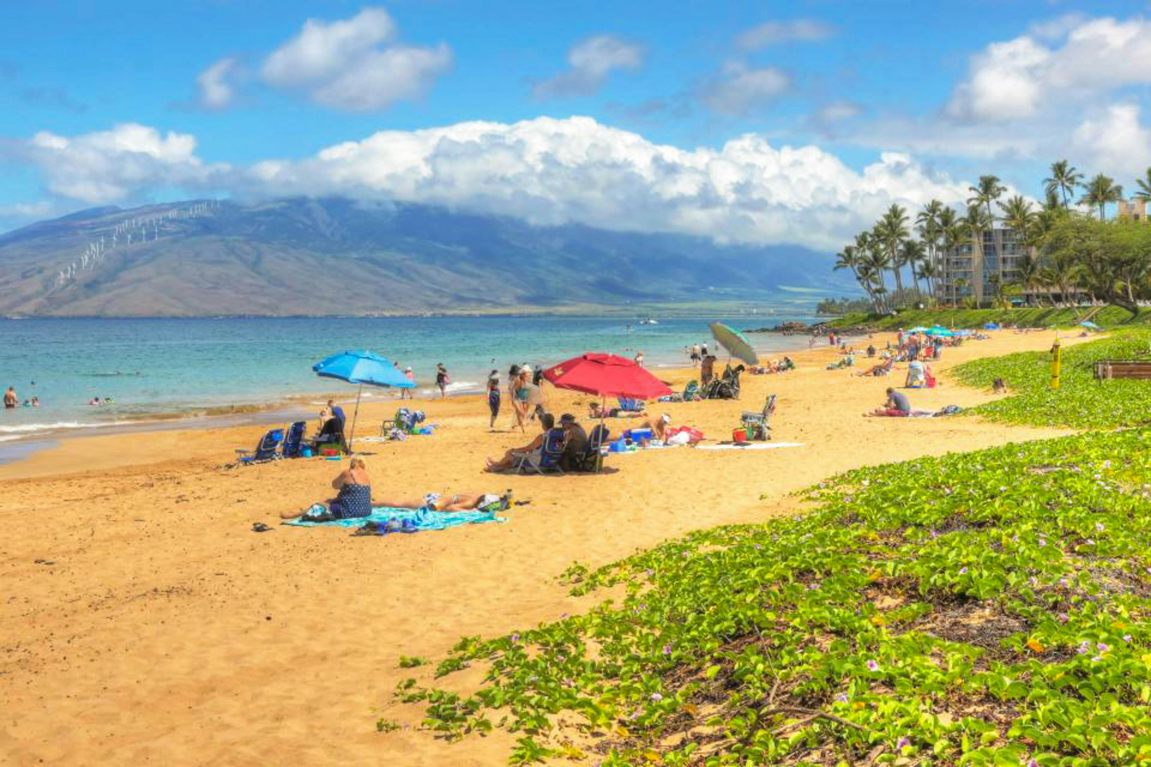 Maui Banyan Q203B [Condo]