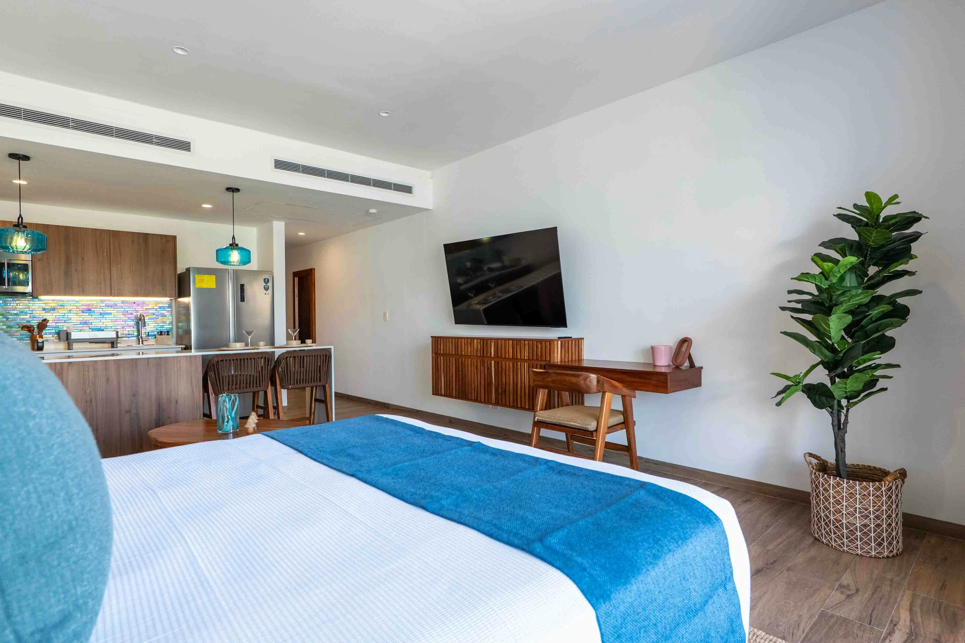 Serenity Sol Studio TL C204