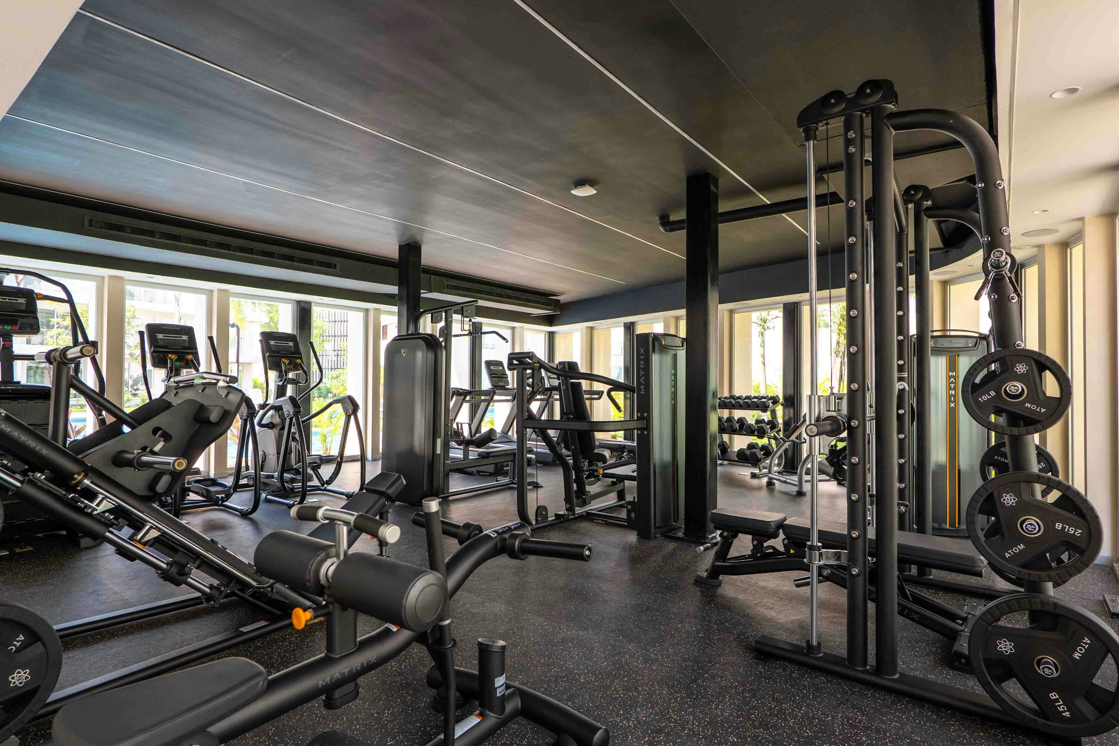 Serenity Sol Studio TL C204