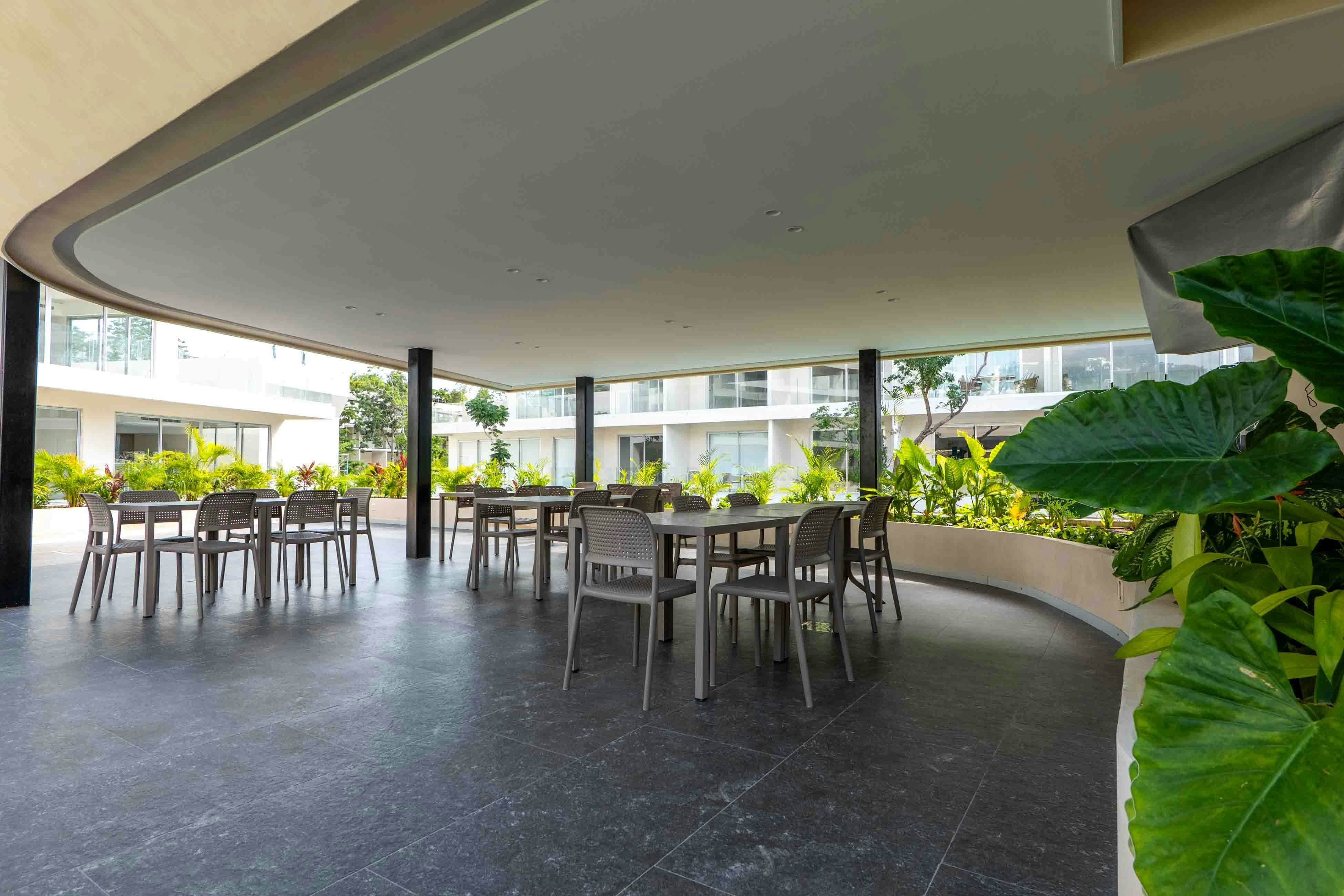 Serenity Sol Studio TL C204