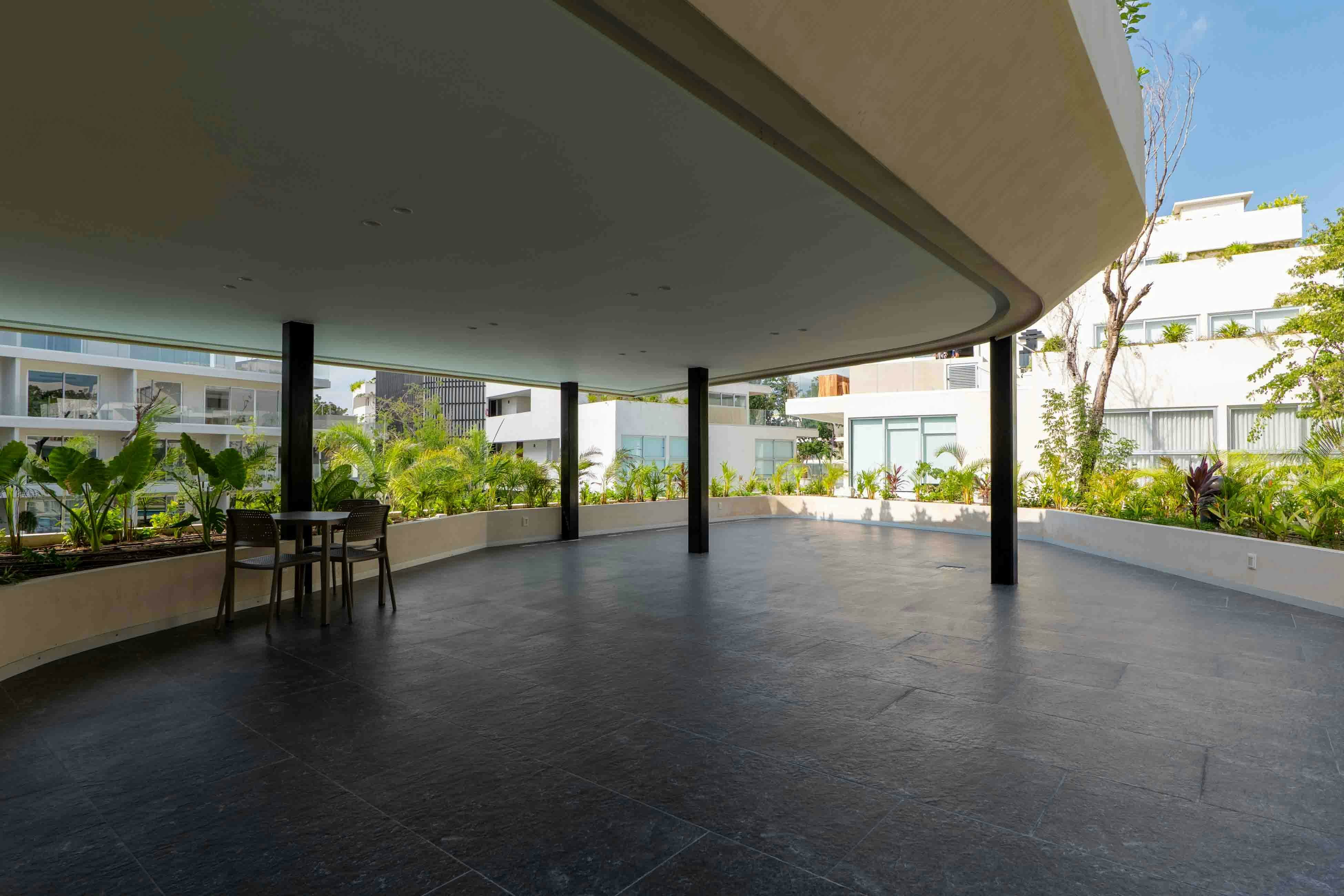 Serenity Sol Studio TL C204