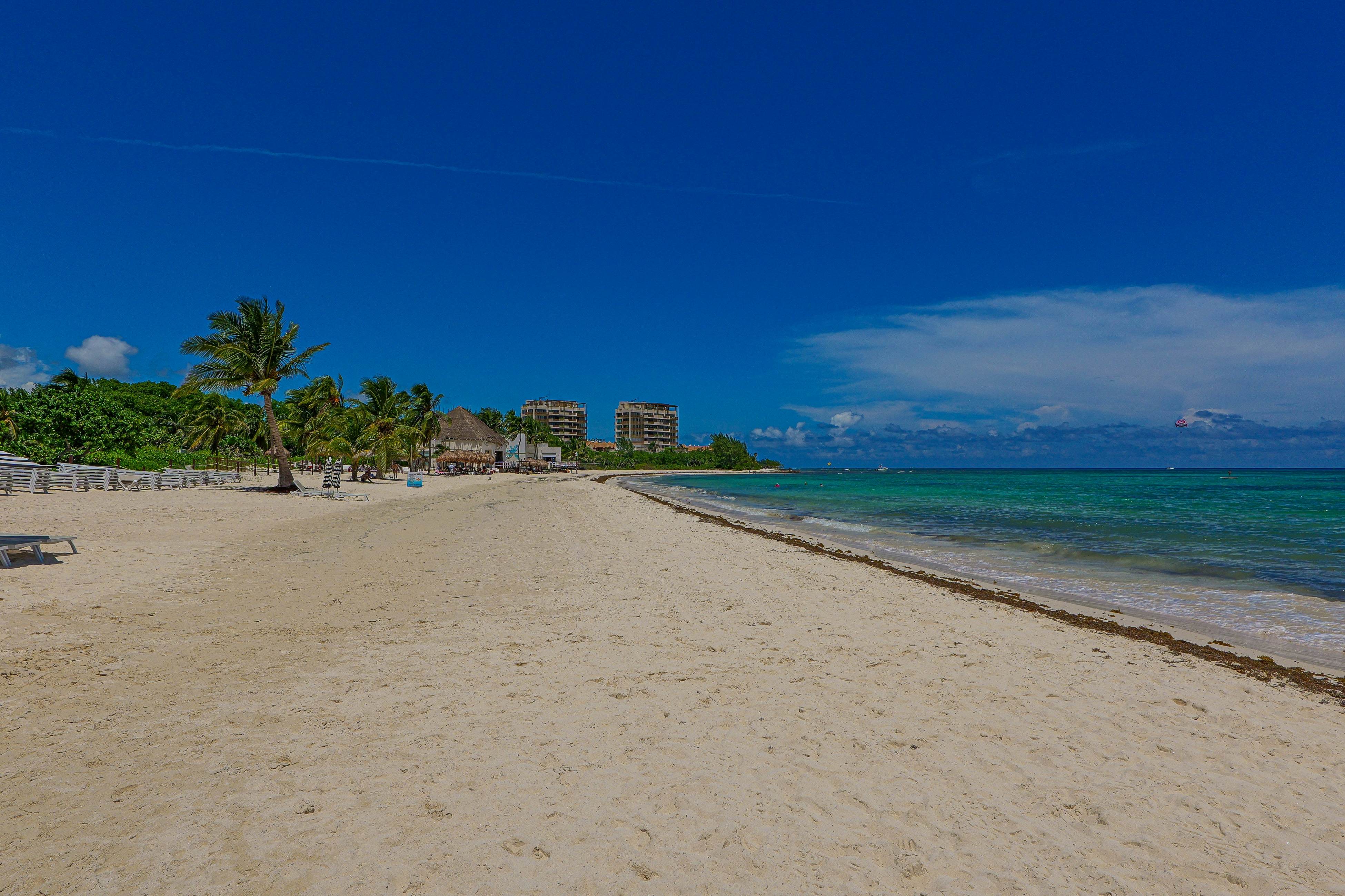 Coral Tide Escape Studio