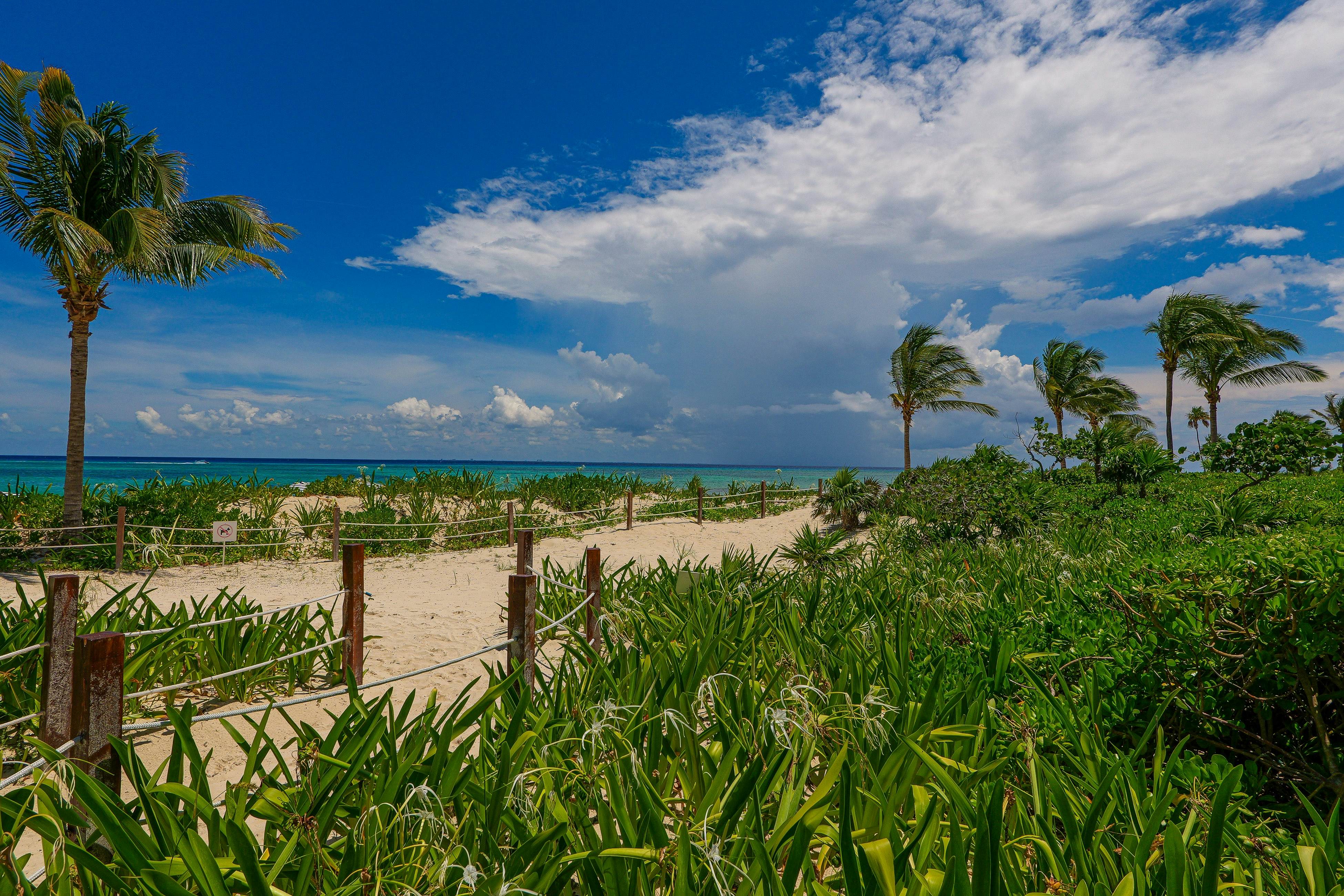 Coral Tide Escape Studio