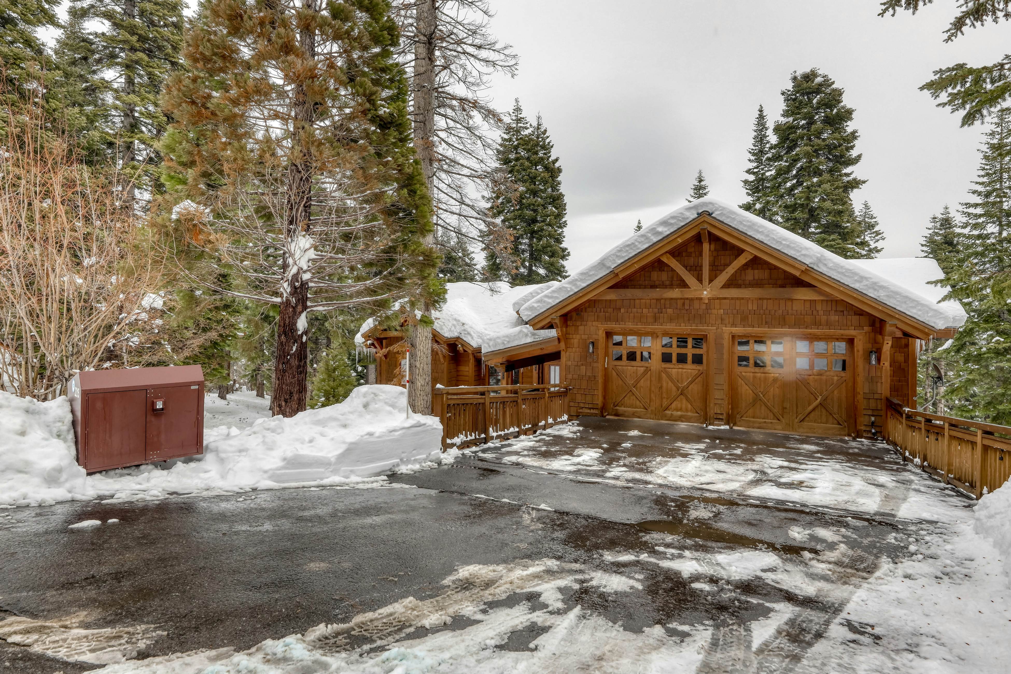 Silverfox at Northstar