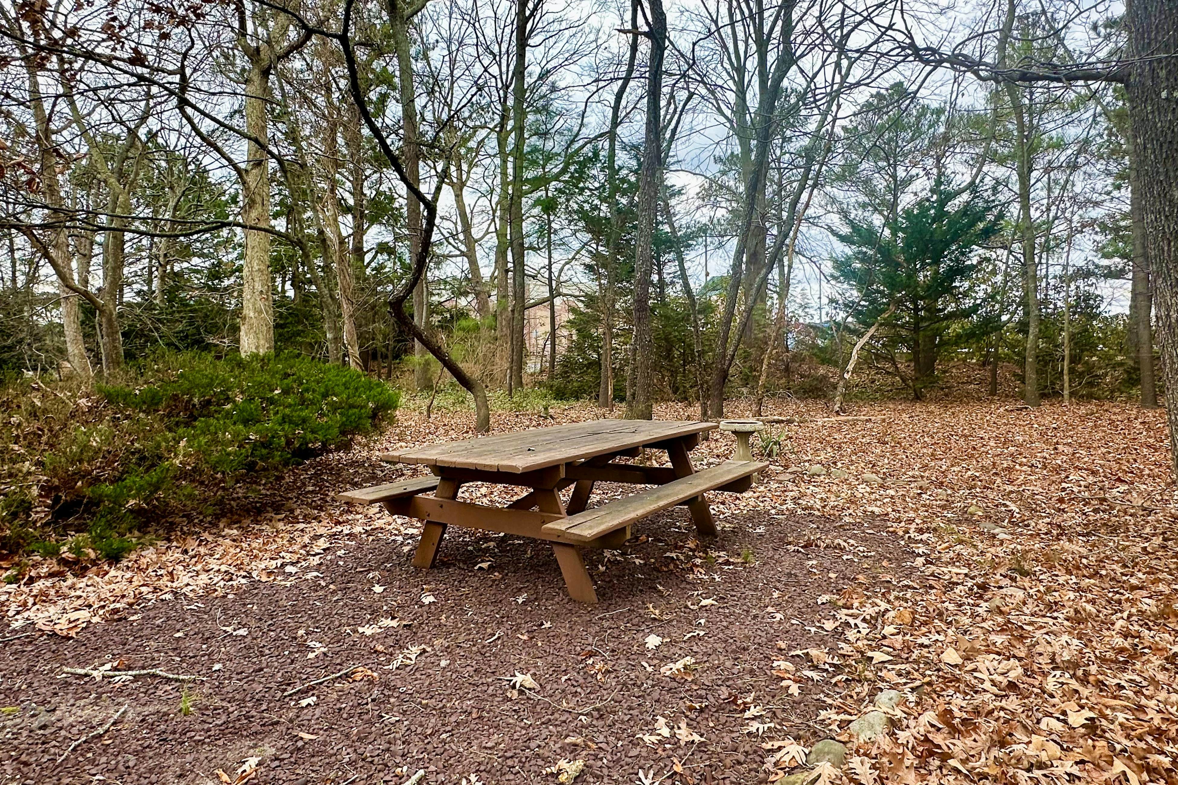 Salt Pond - 702 Fox Tail Dr