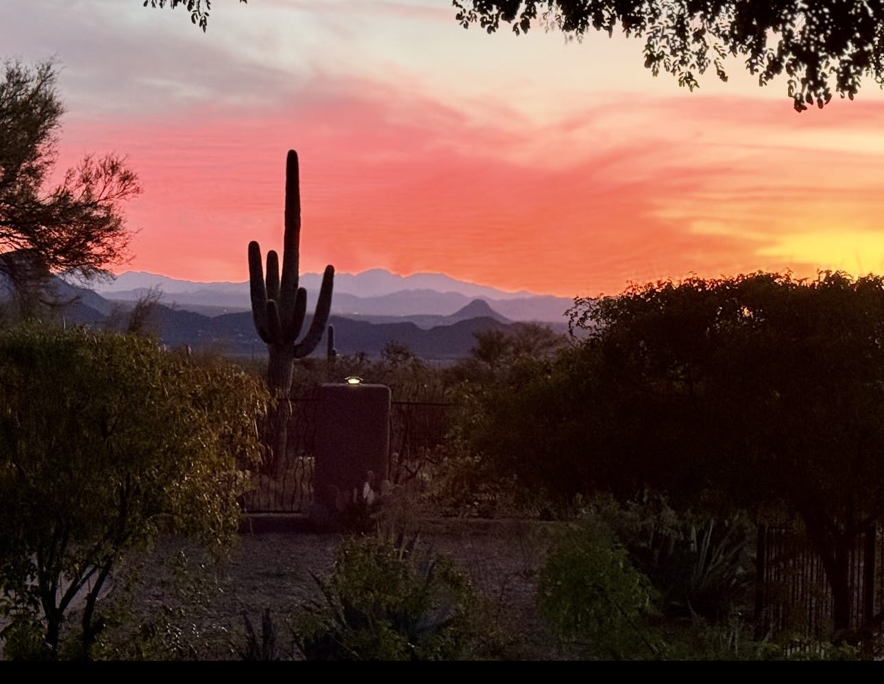 Serenity Oasis Estate