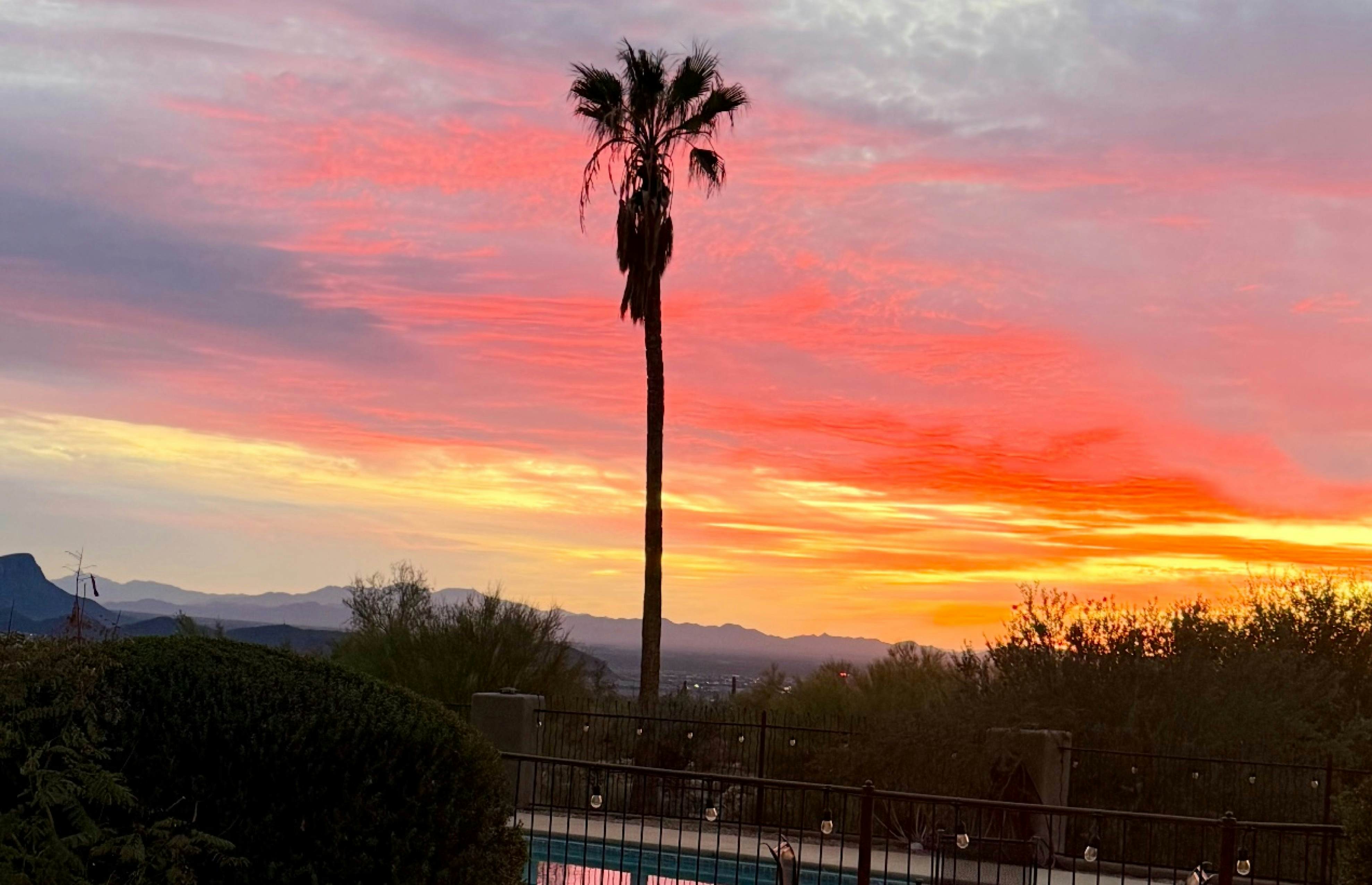 Serenity Oasis Estate