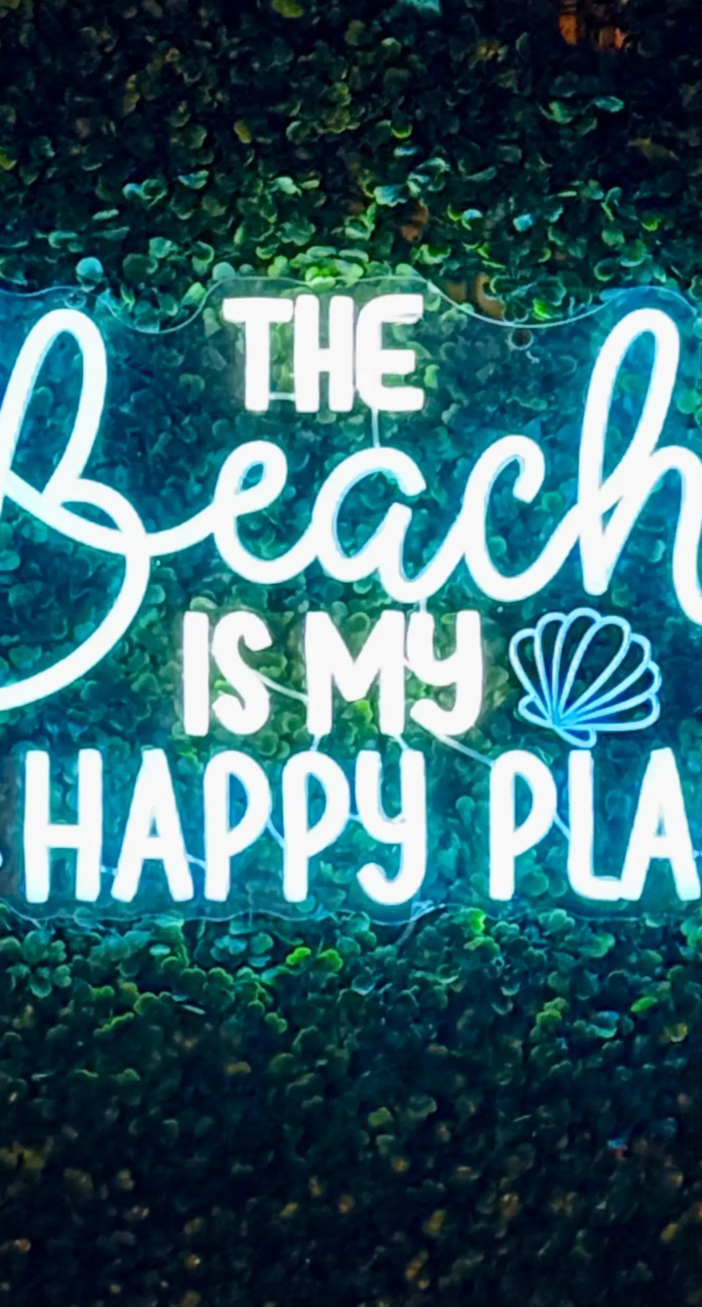 Once Upon a Beach Time 