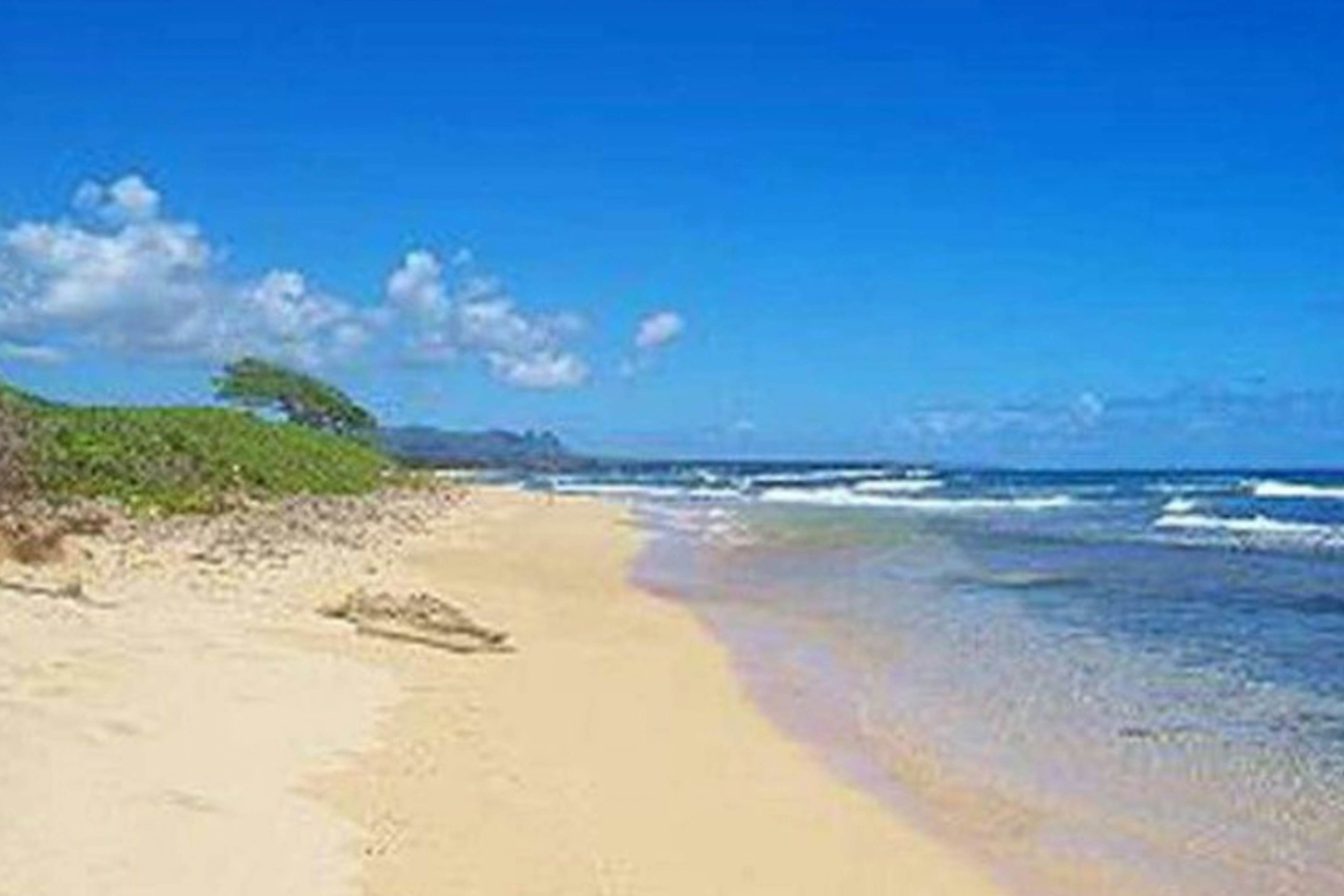 Kauai Beach Resort #3204