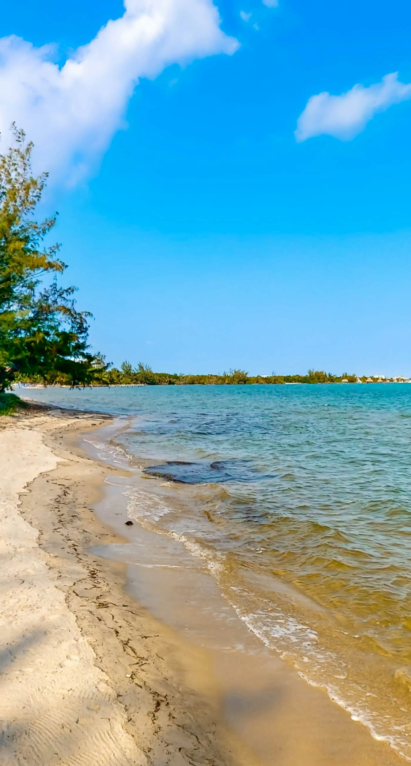 Blue Tang Beach House at Ocean’s Edge -Gold Standard Certified