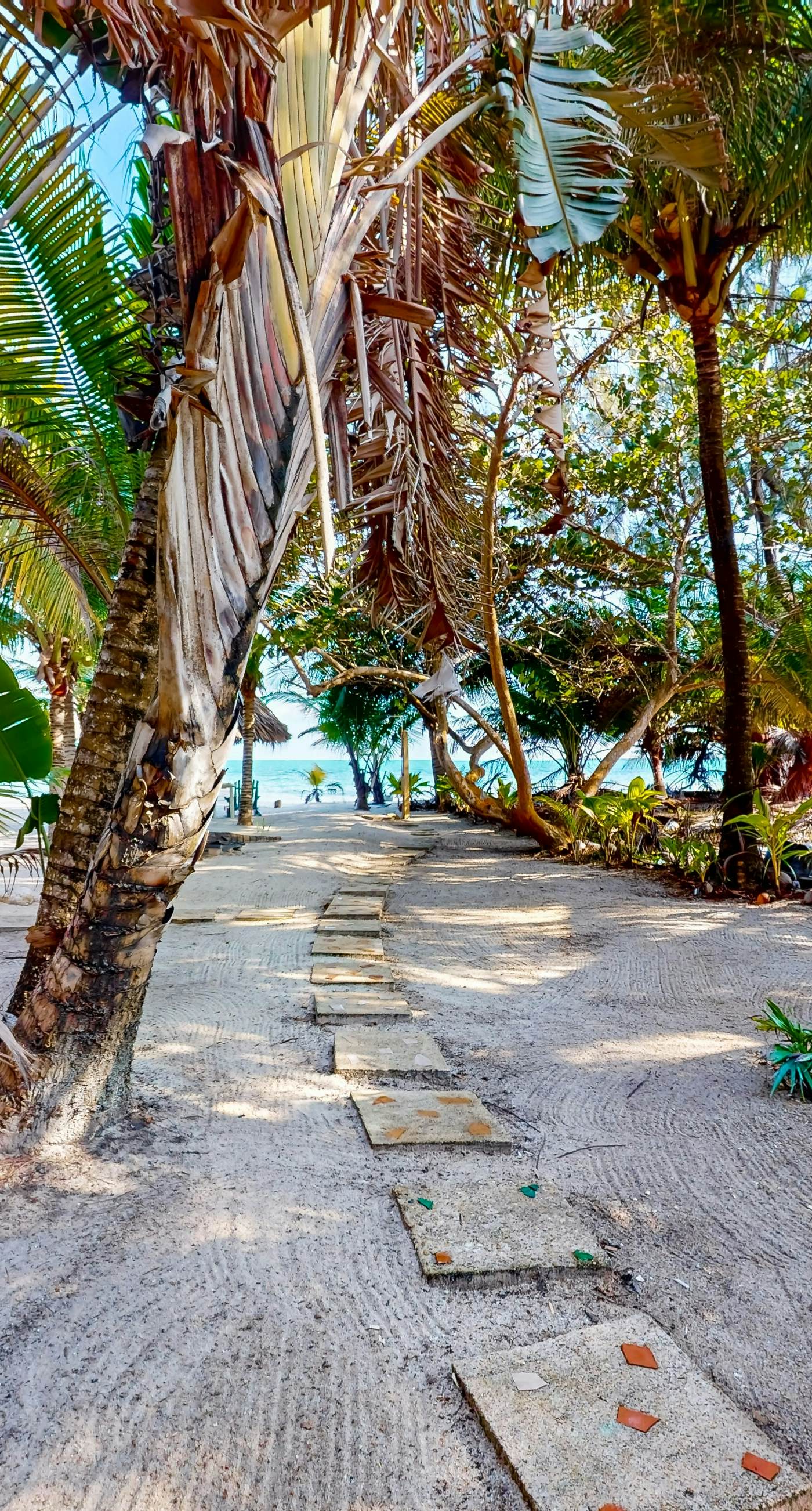 Blue Tang Beach House at Ocean’s Edge -Gold Standard Certified