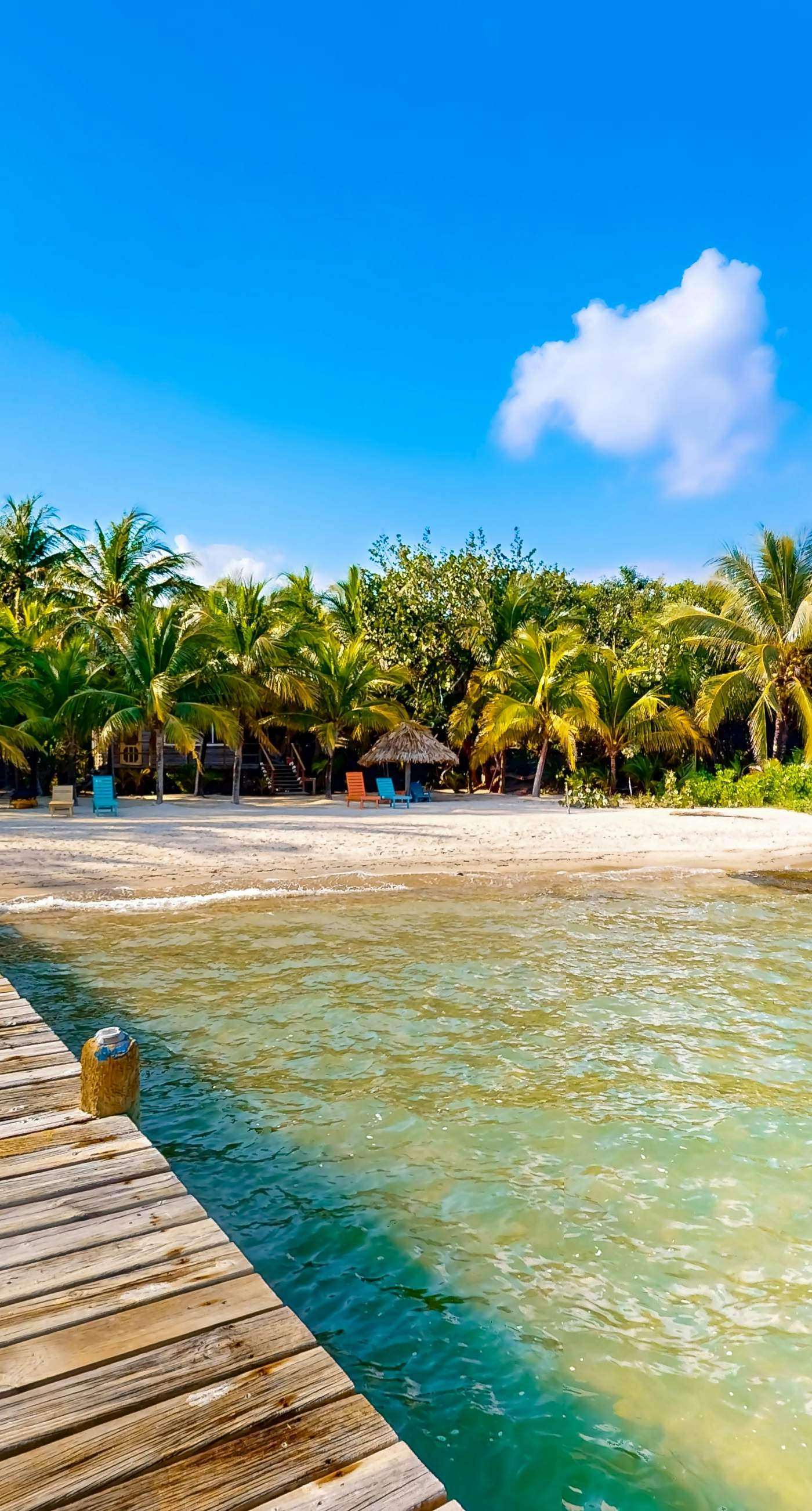 Blue Tang Beach House at Ocean’s Edge -Gold Standard Certified