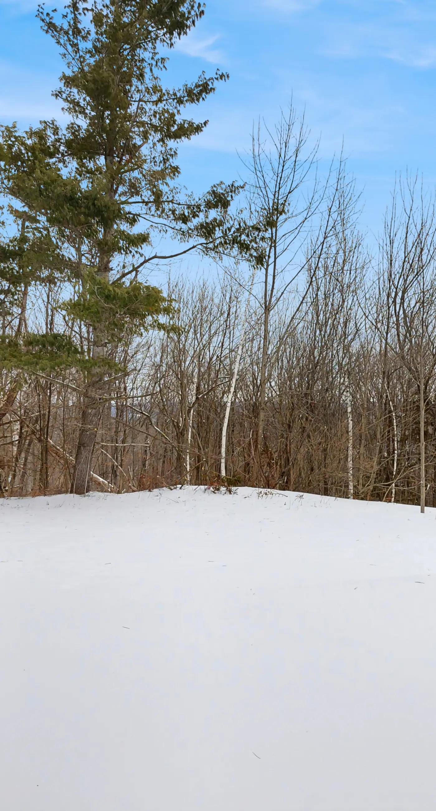 Winterplace Getaway A101