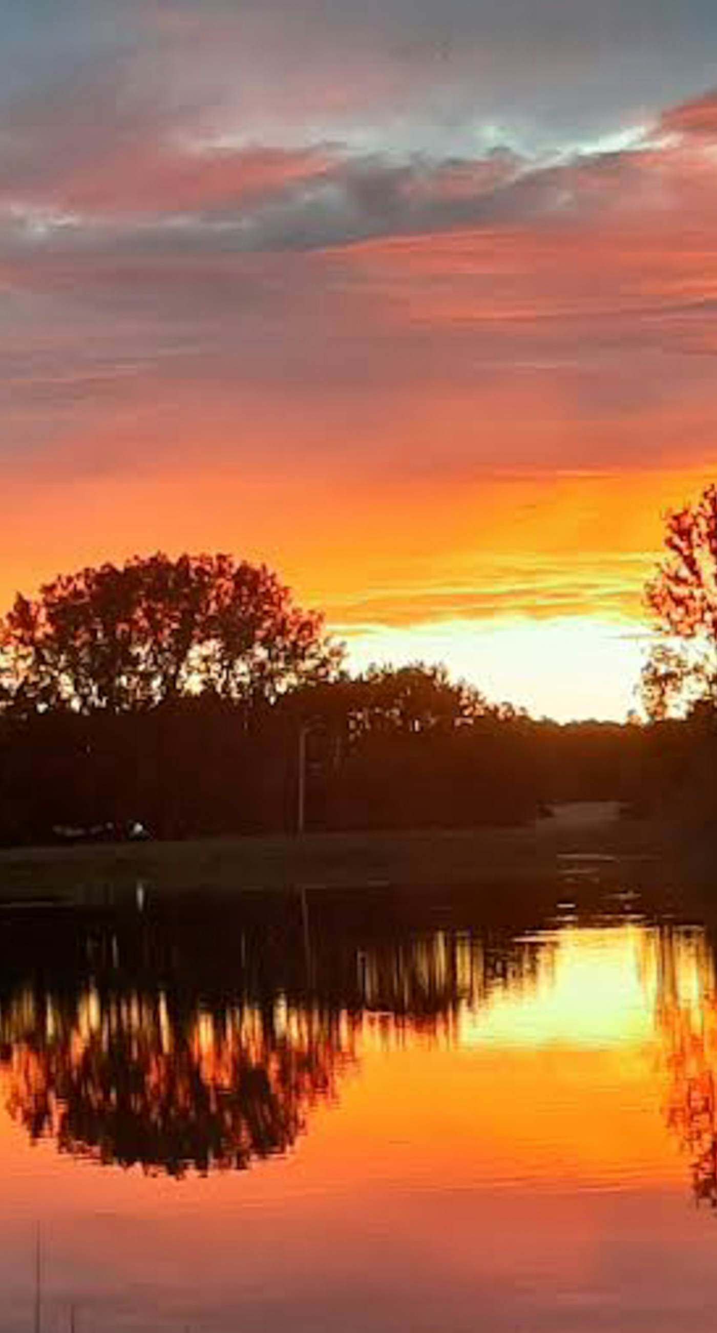 Cali's Fawn Lake Haven