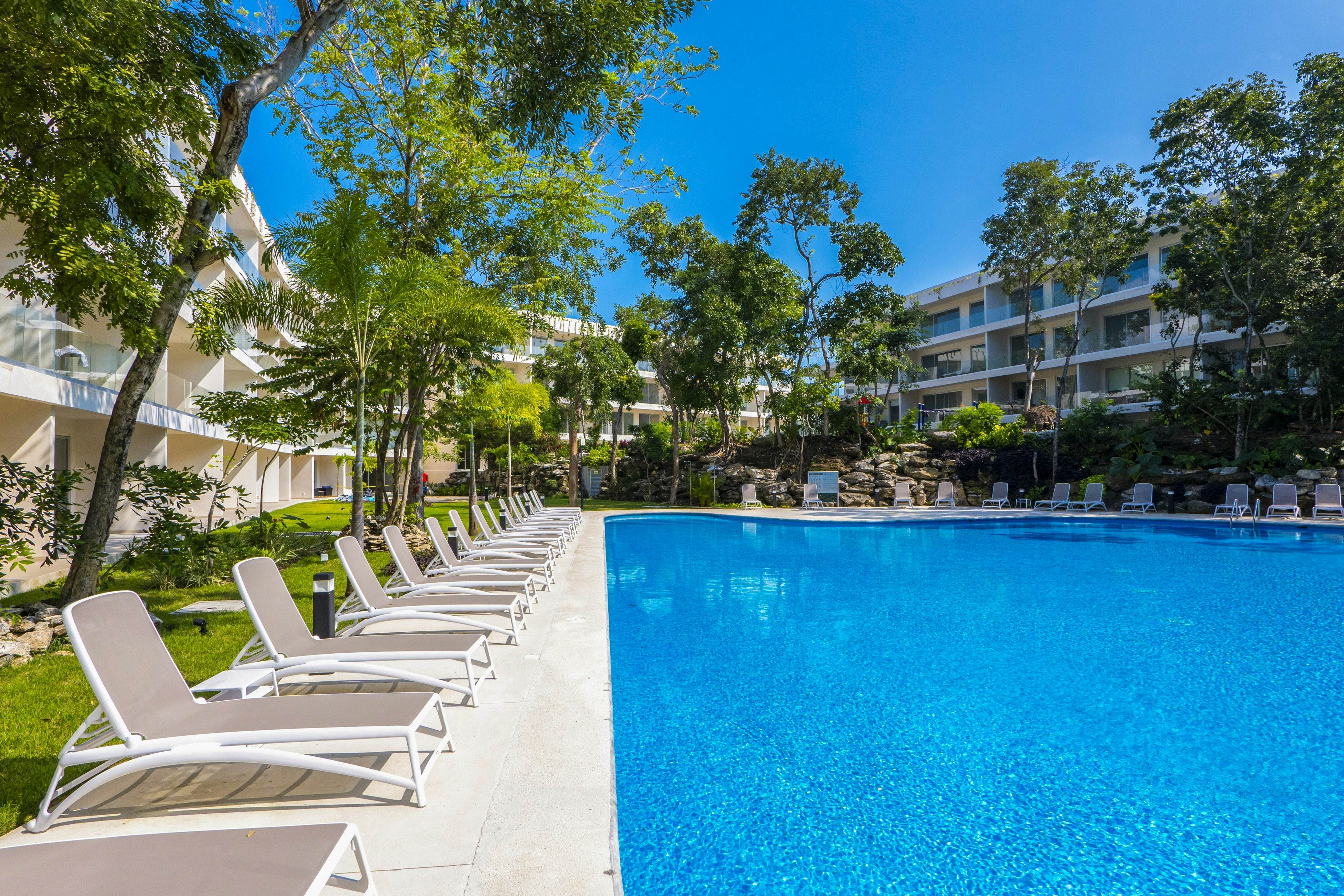 Whispering Palms TL B114