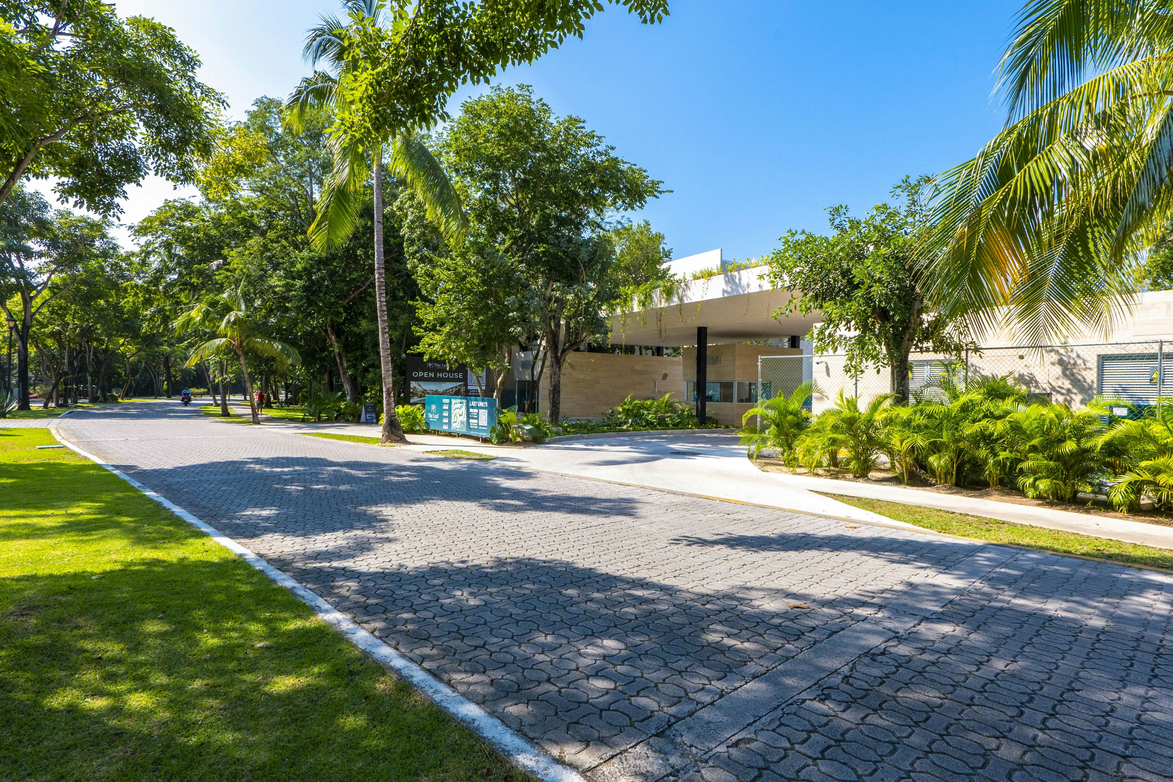 Whispering Palms TL B114