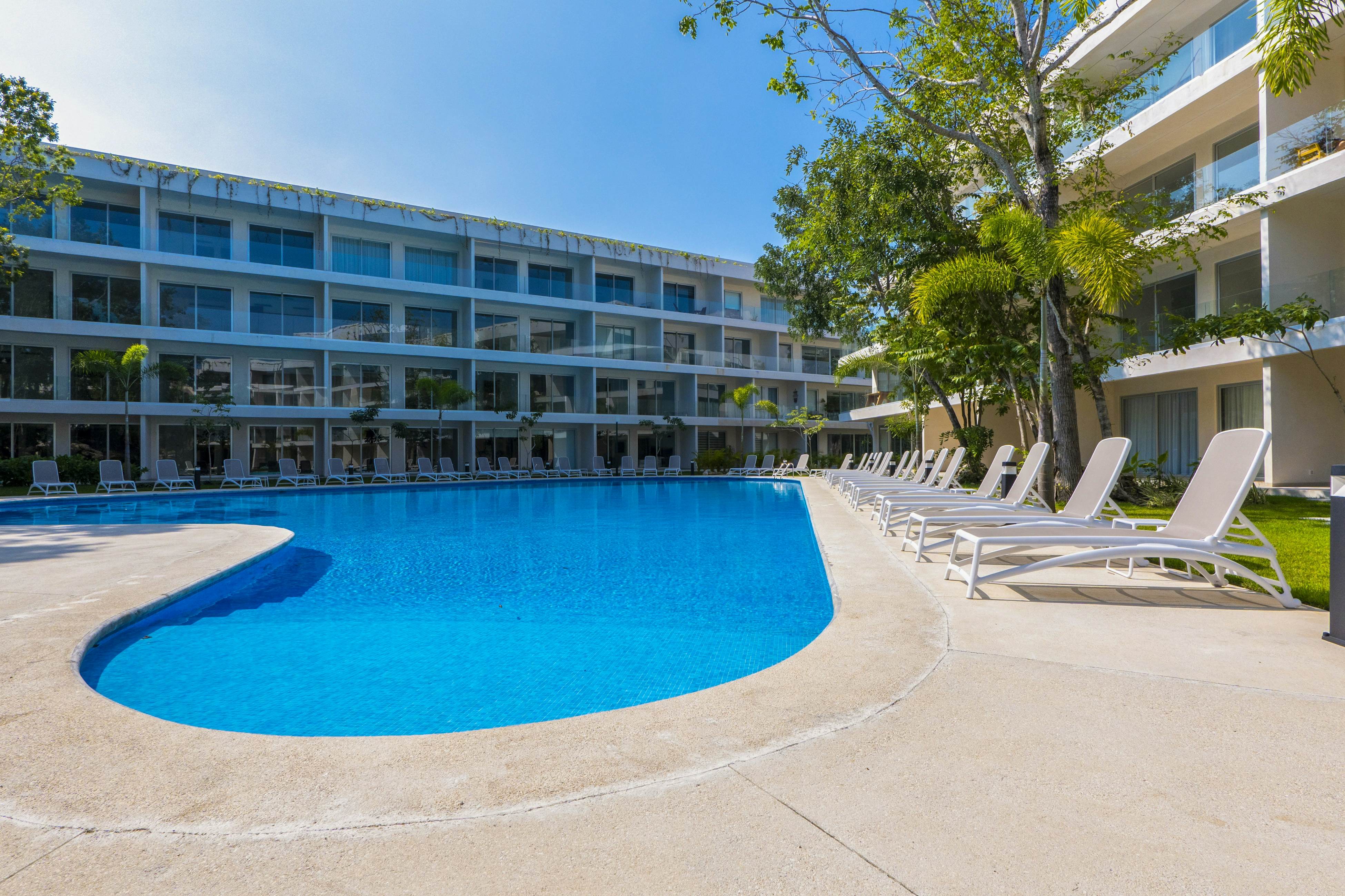 Whispering Palms TL B114