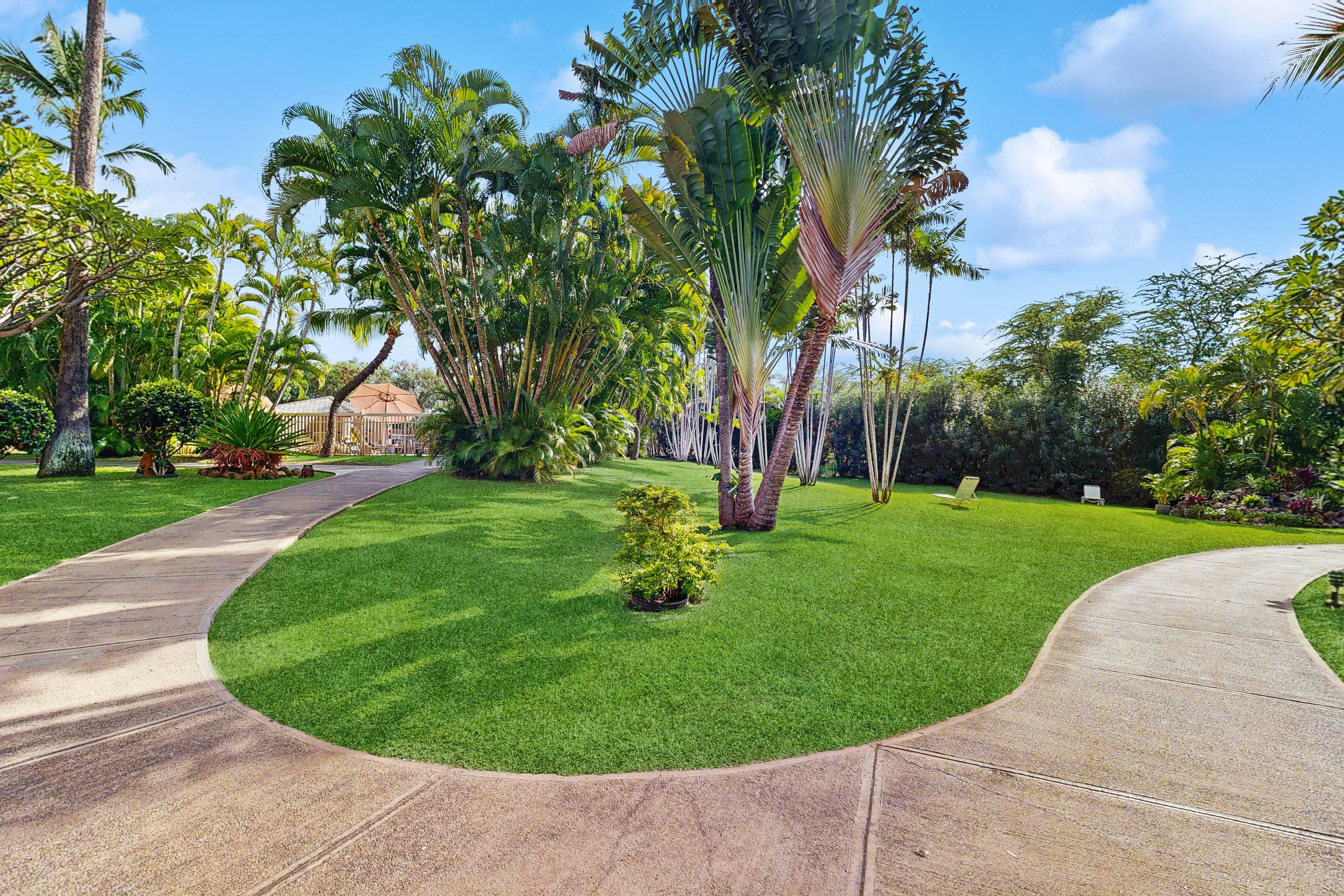 Maui Banyan Q203 [Whole Condo]