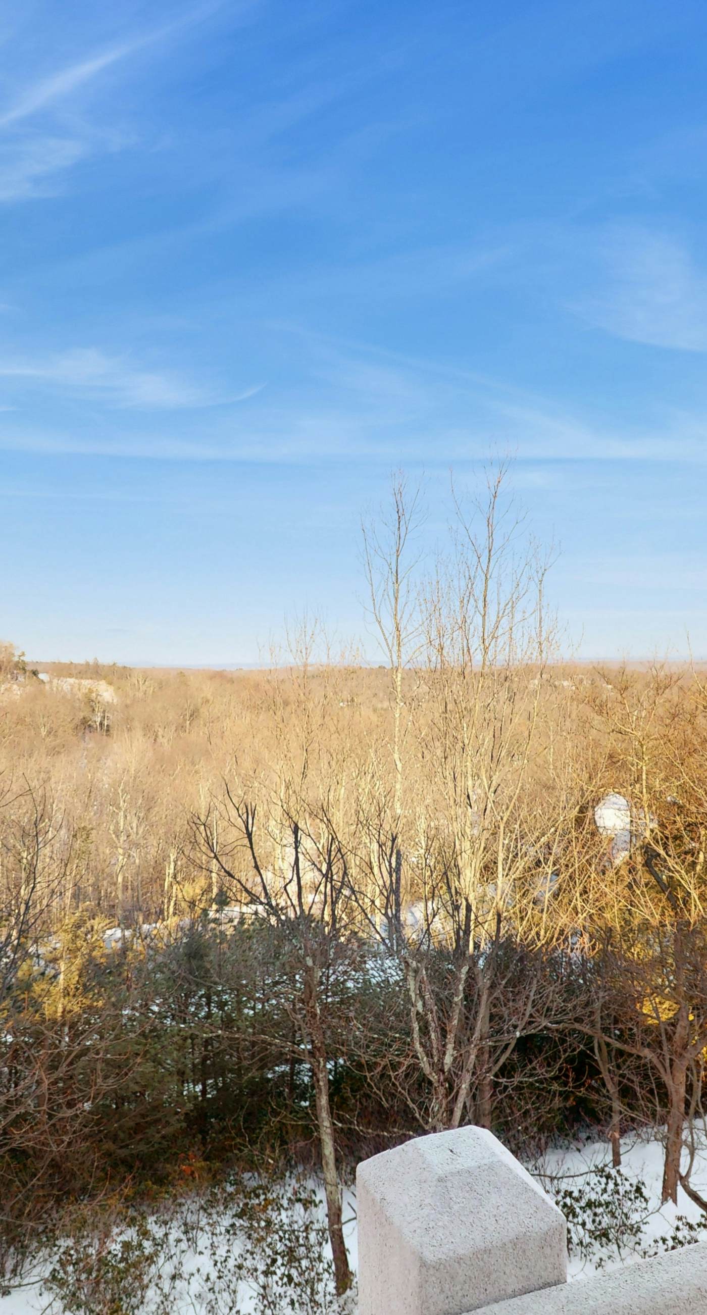 Mountain View Memories at Northridge