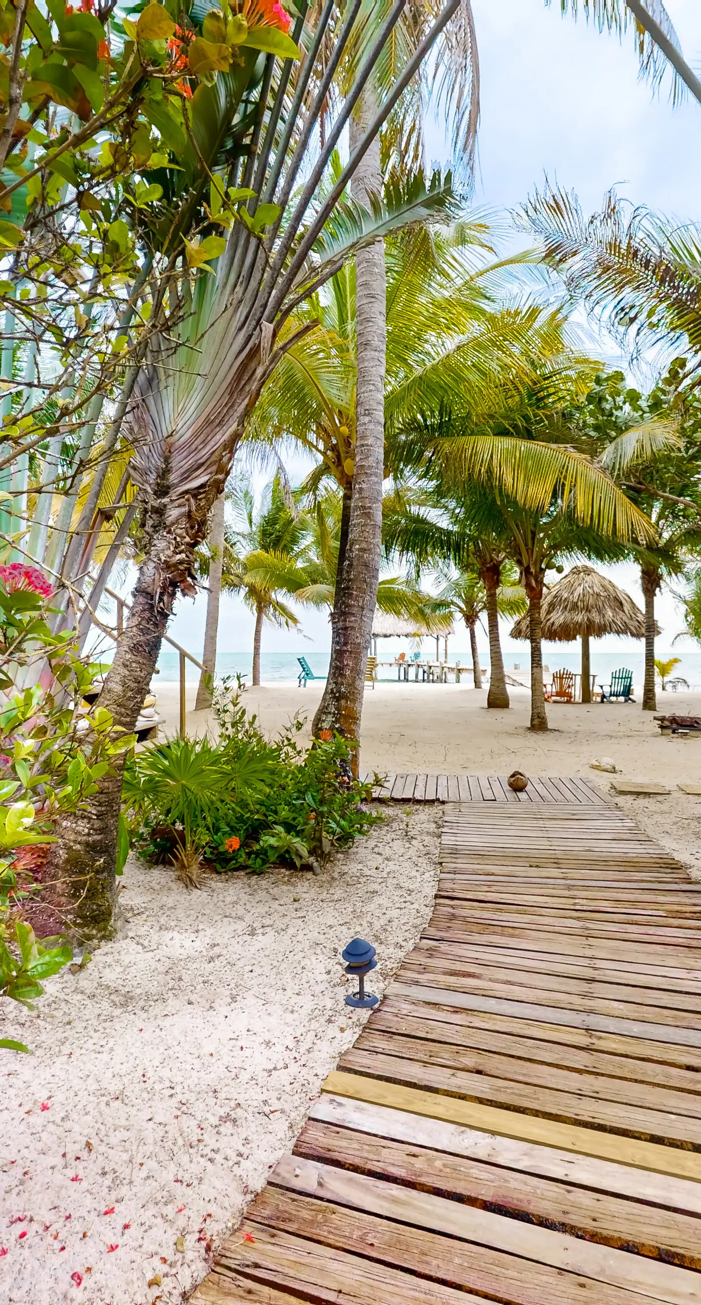 Ocean Edge Gold Standard Certified