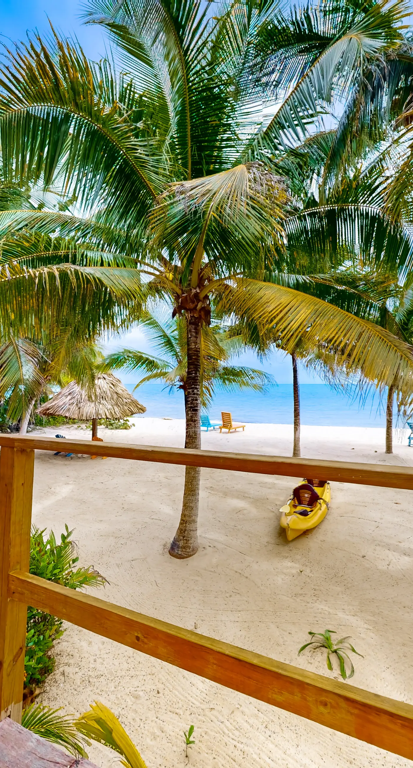 Ocean Edge Gold Standard Certified