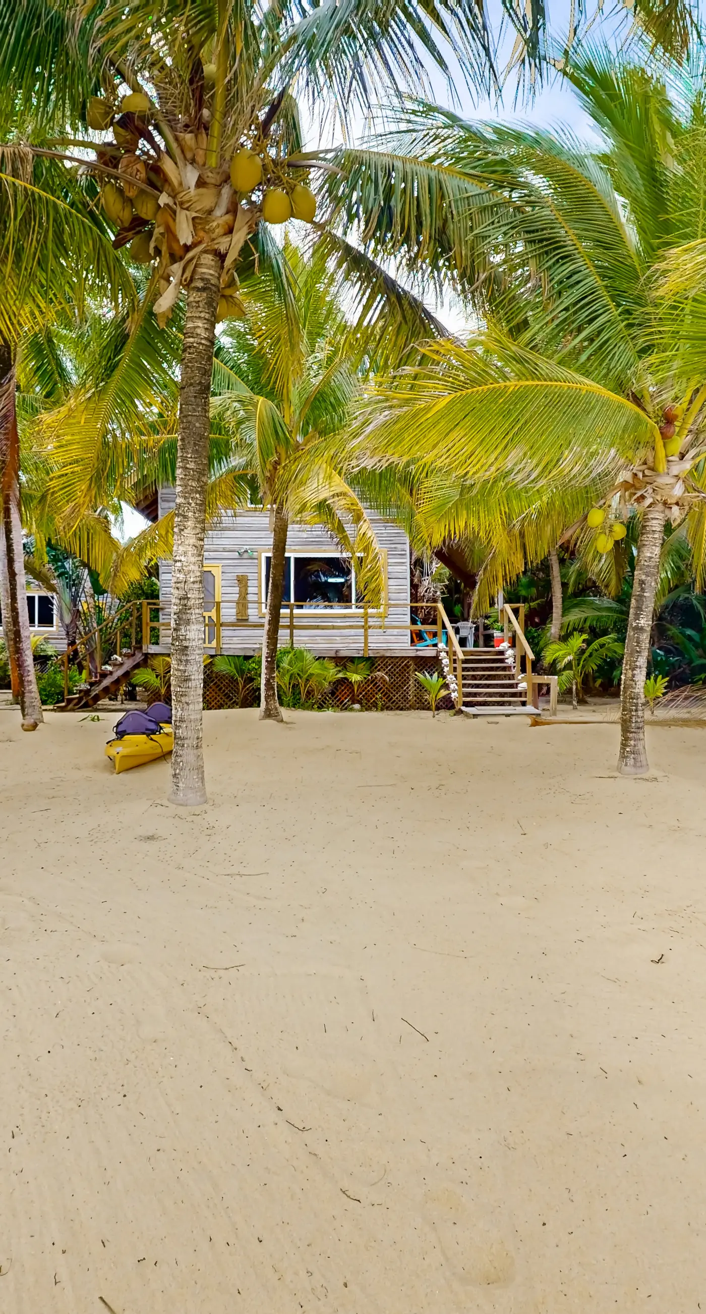 Ocean Edge Gold Standard Certified