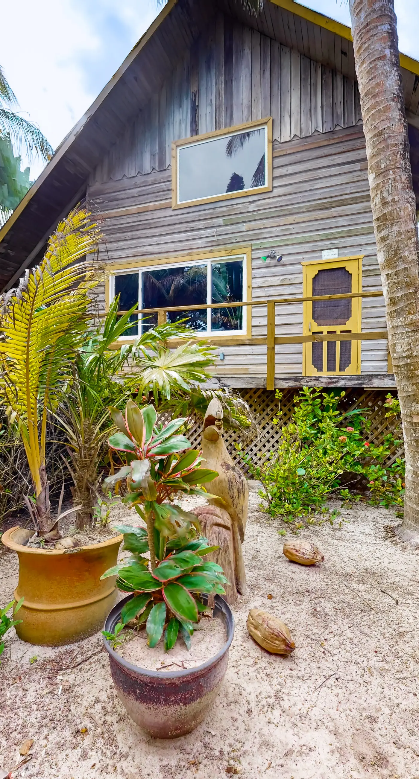 Ocean Edge Gold Standard Certified