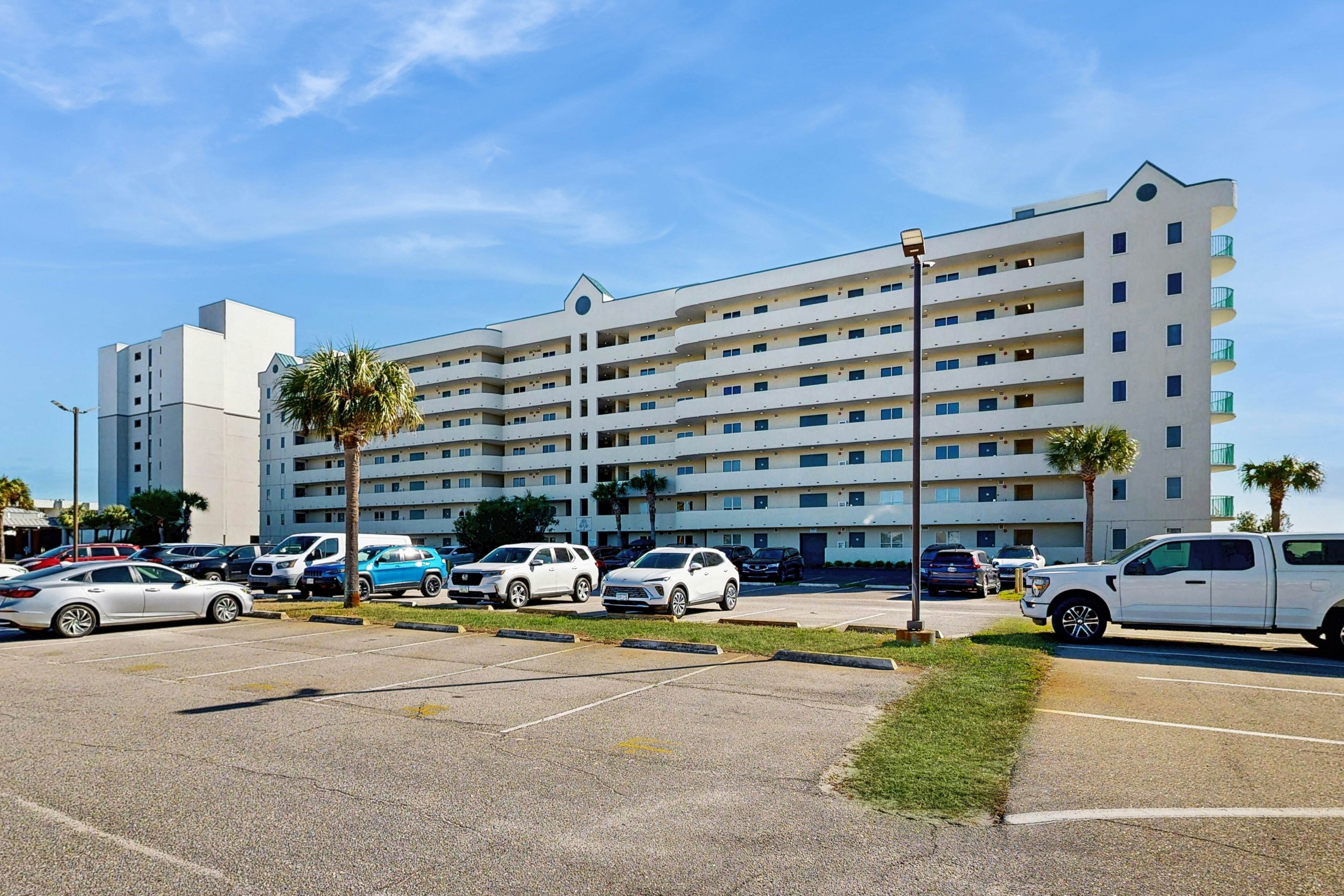 Plantation Palms #6305