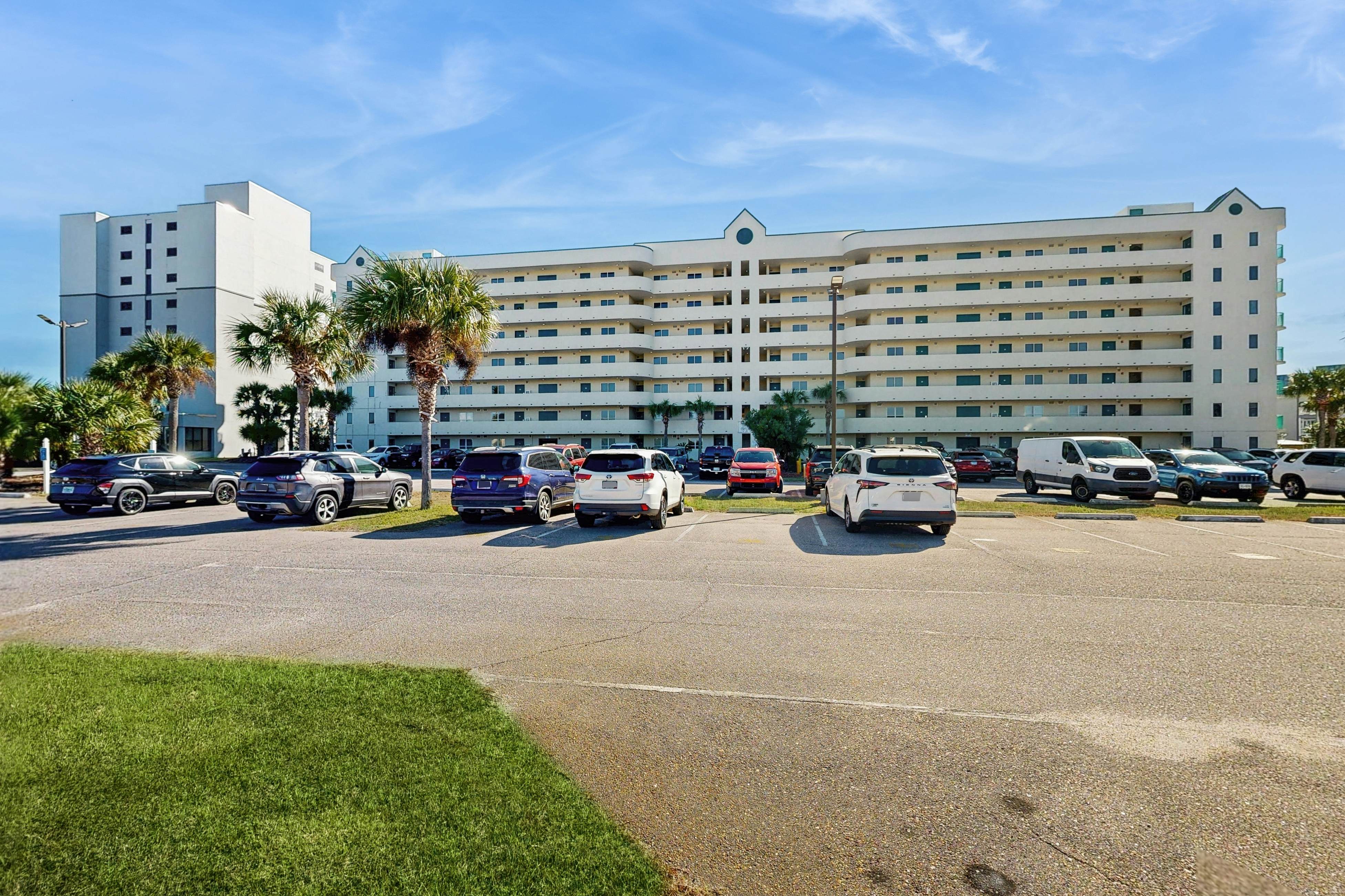 Plantation Palms #6305