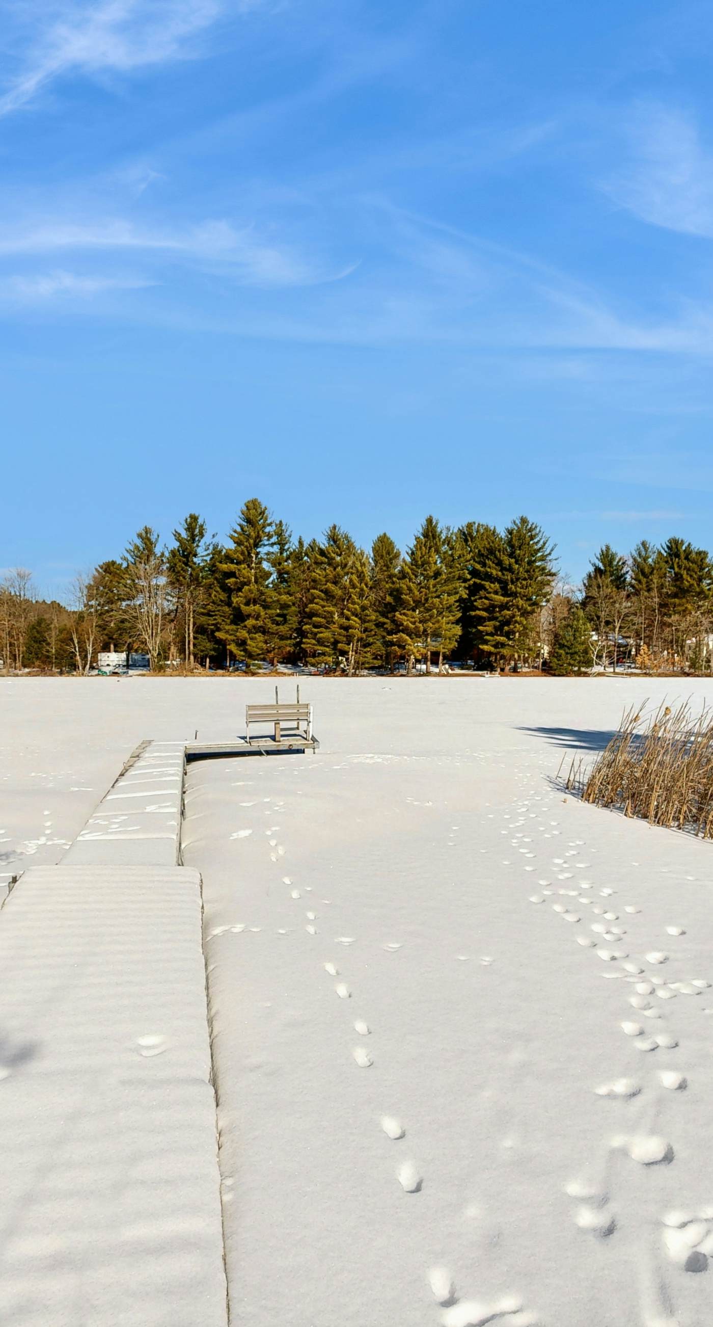 Cali's Fawn Lake Haven