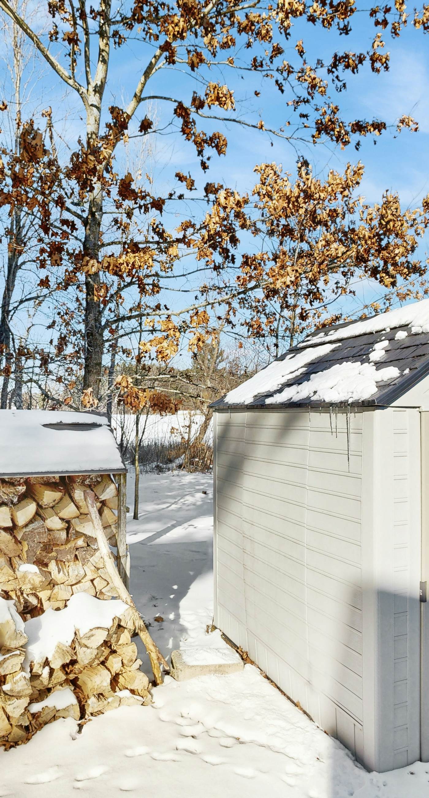 Cali's Fawn Lake Haven