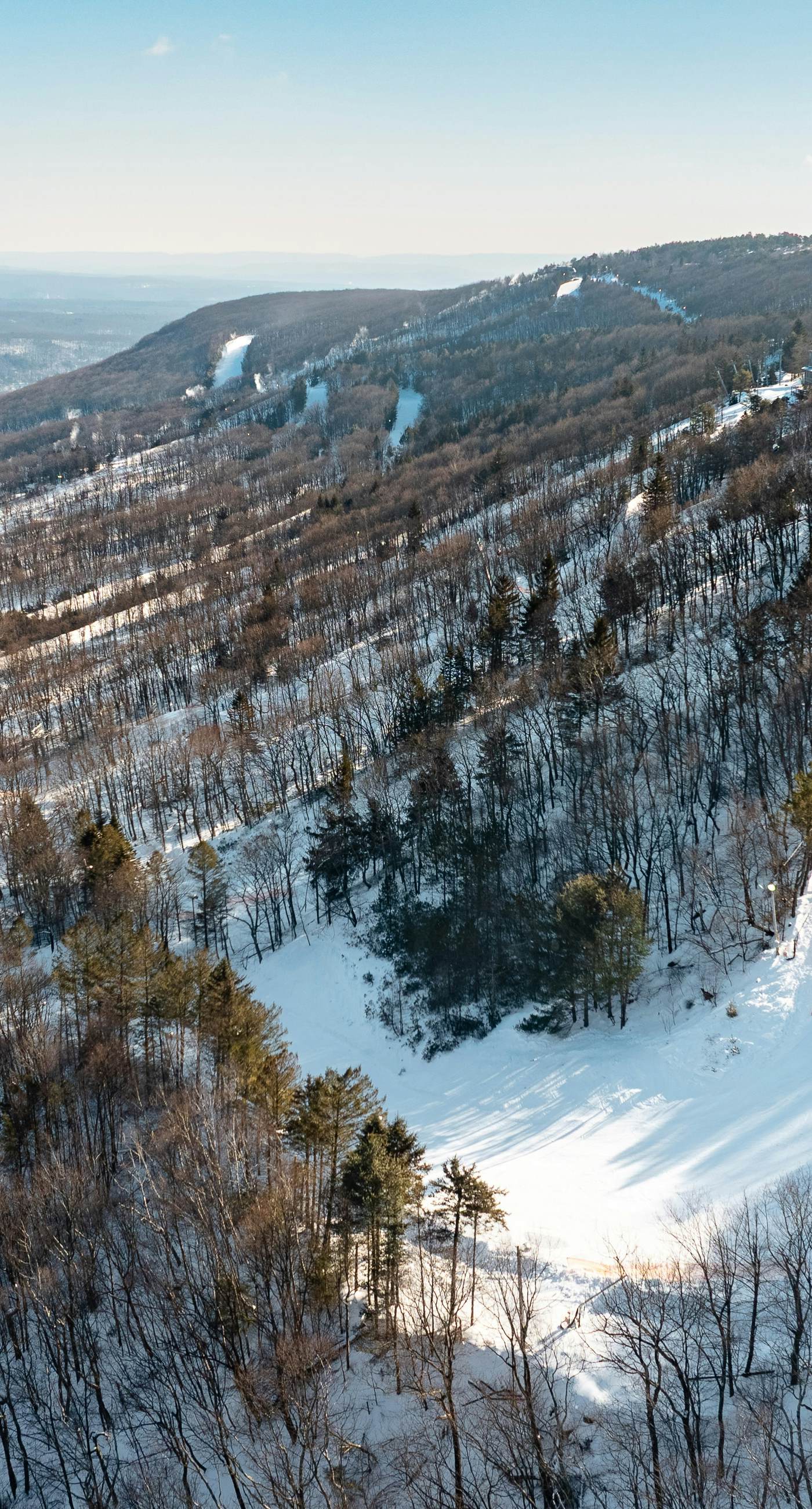 Tannersville Tranquility