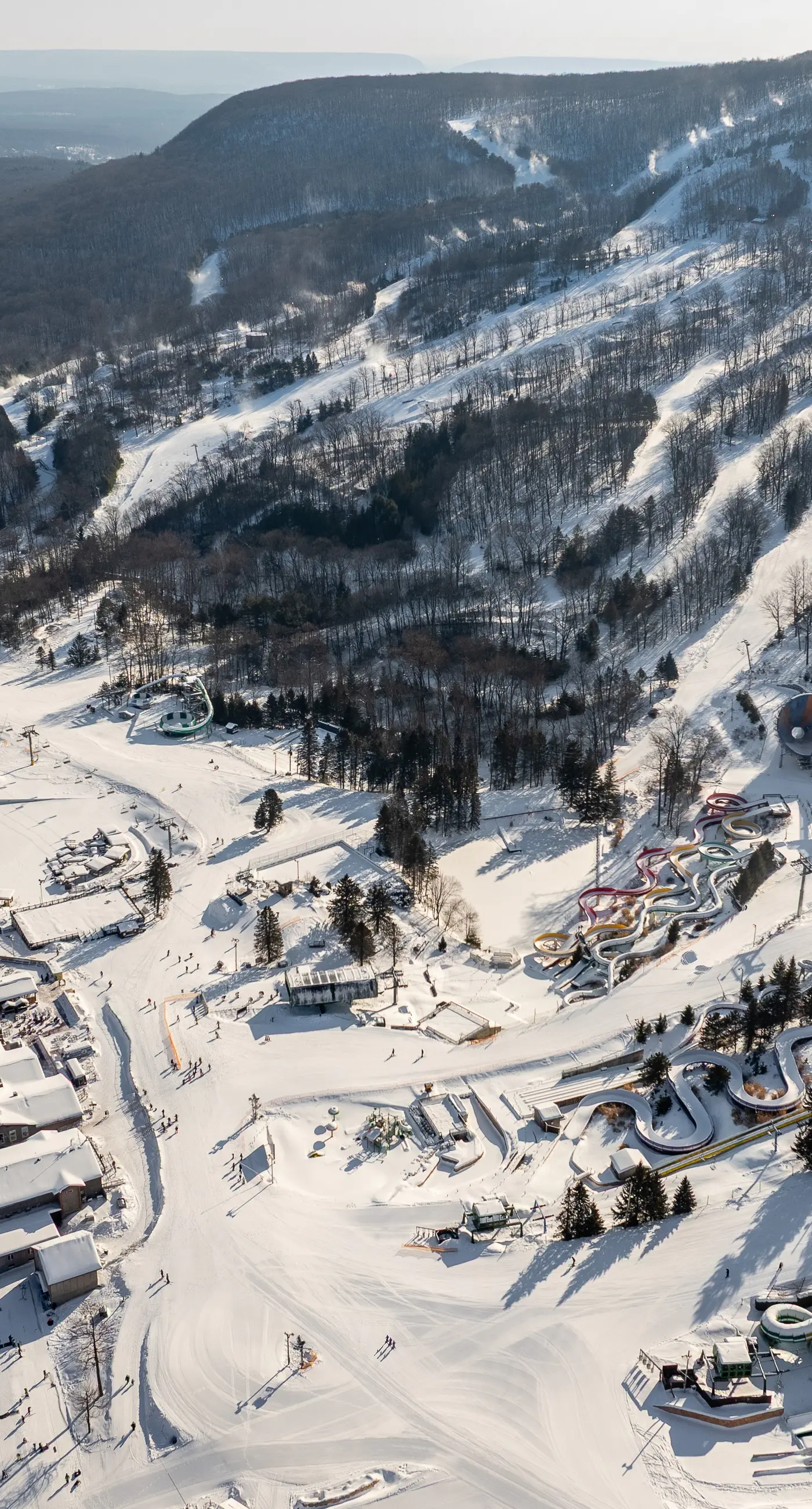 Blue Mountain Escape