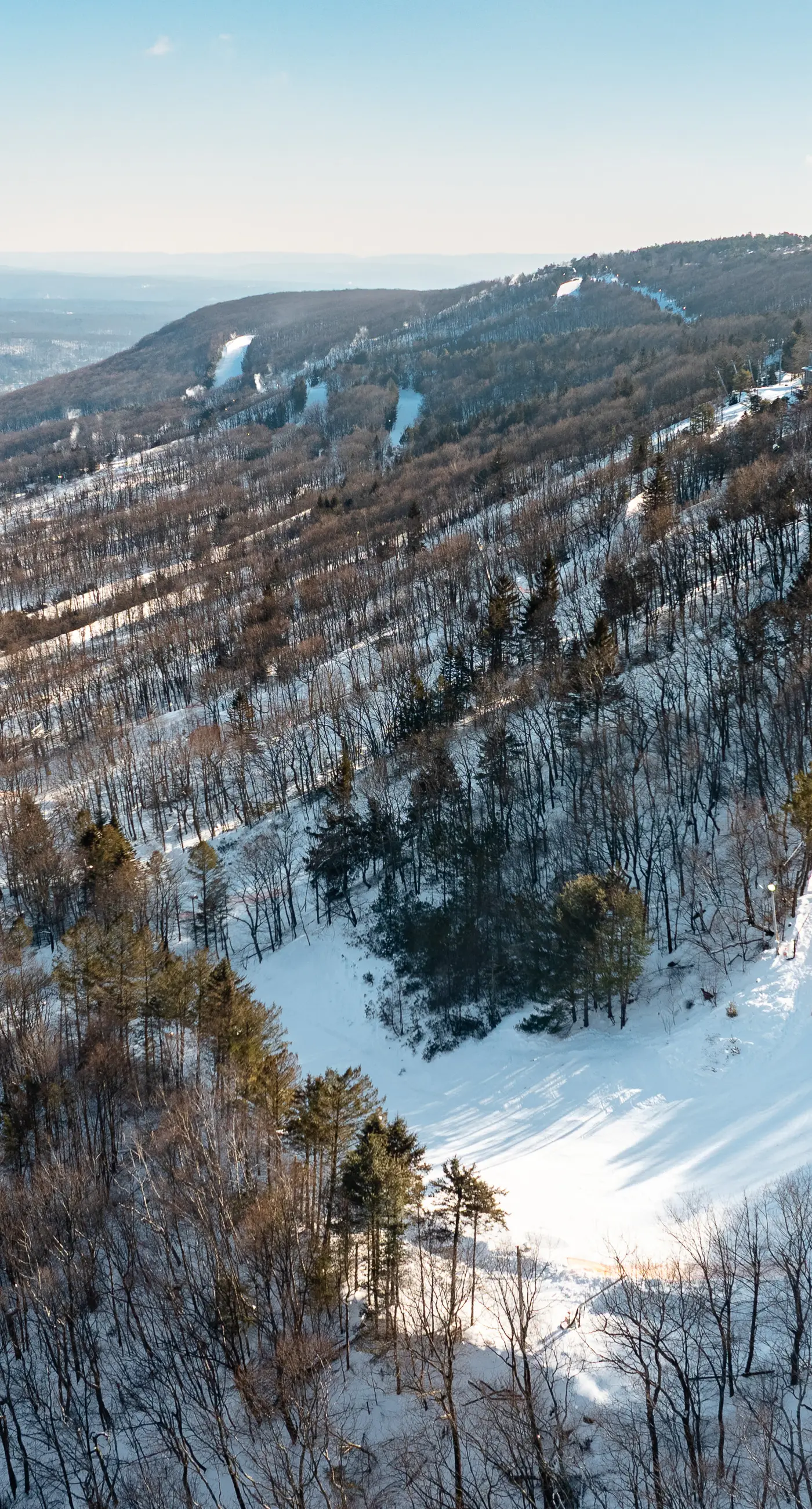 Blue Mountain Escape