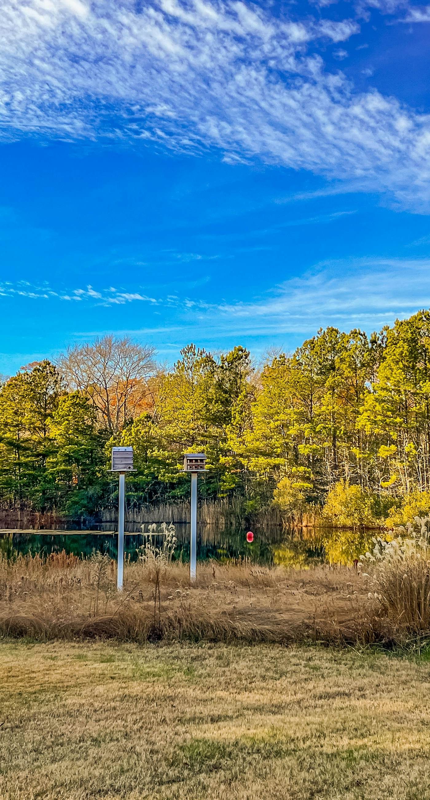 Bethany Bay - 30406 Anderson Dr #101