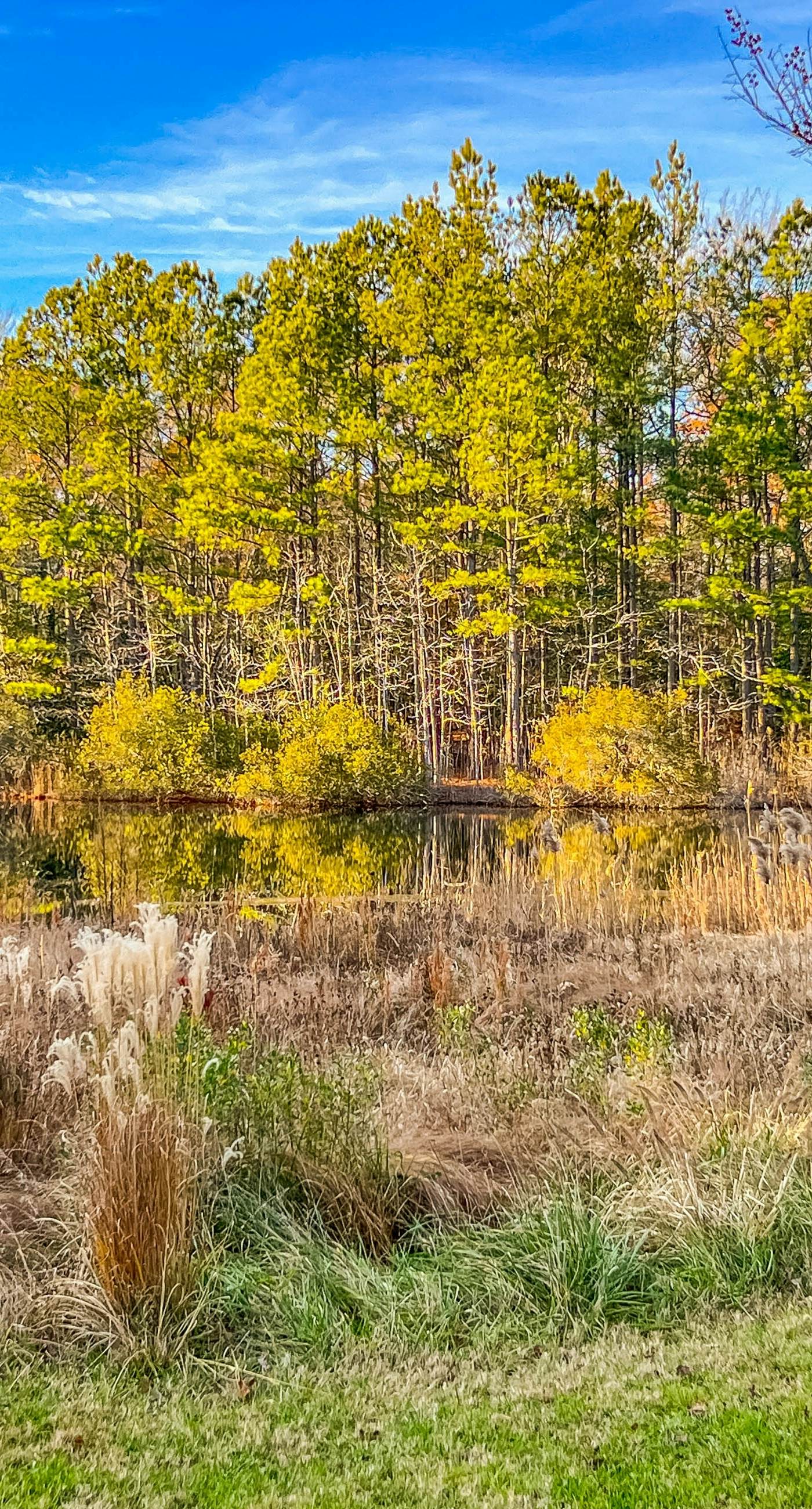 Bethany Bay - 30406 Anderson Dr #101